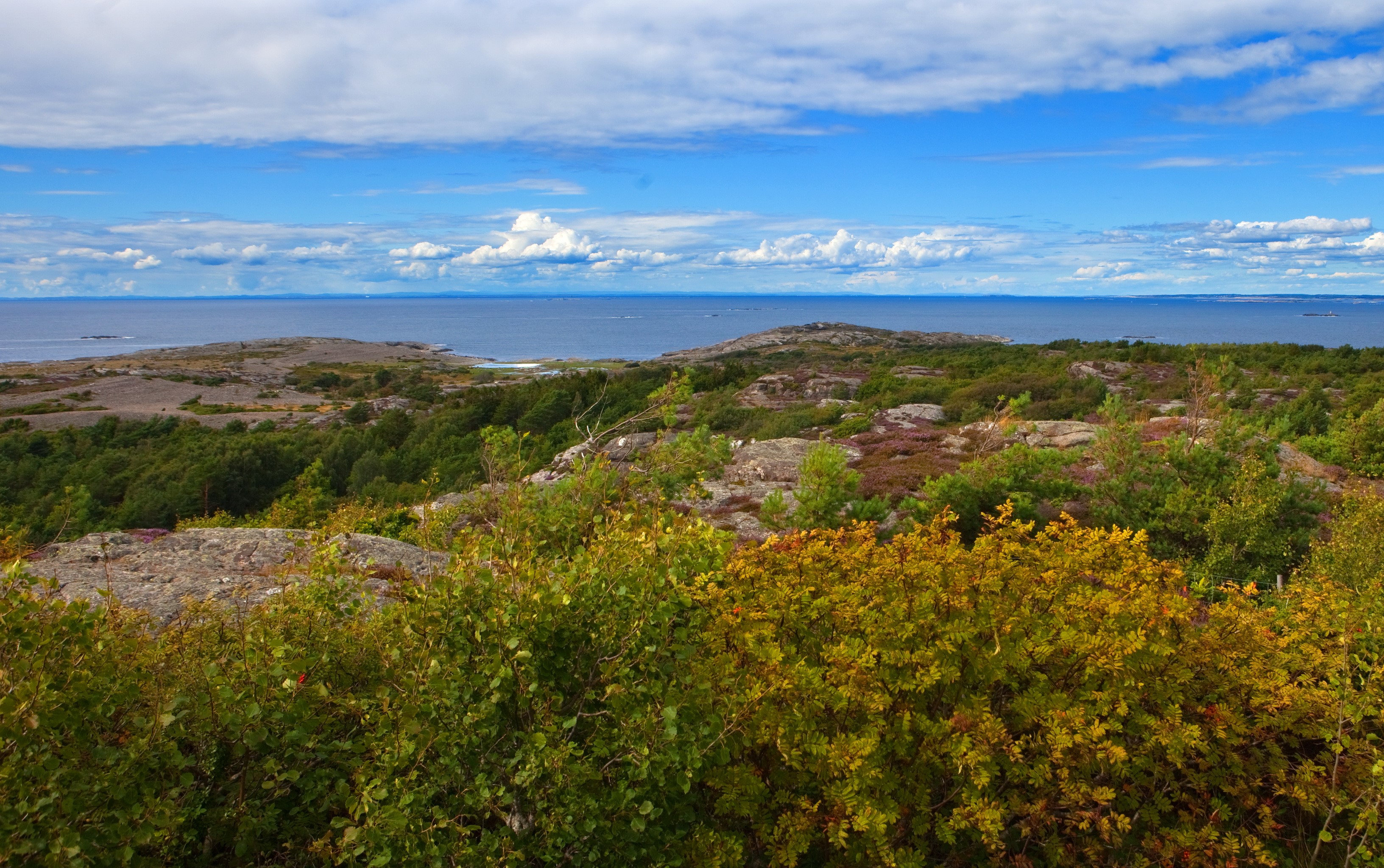 Rocky coast with shrubs and sea under a cloudy sky HD Wallpaper