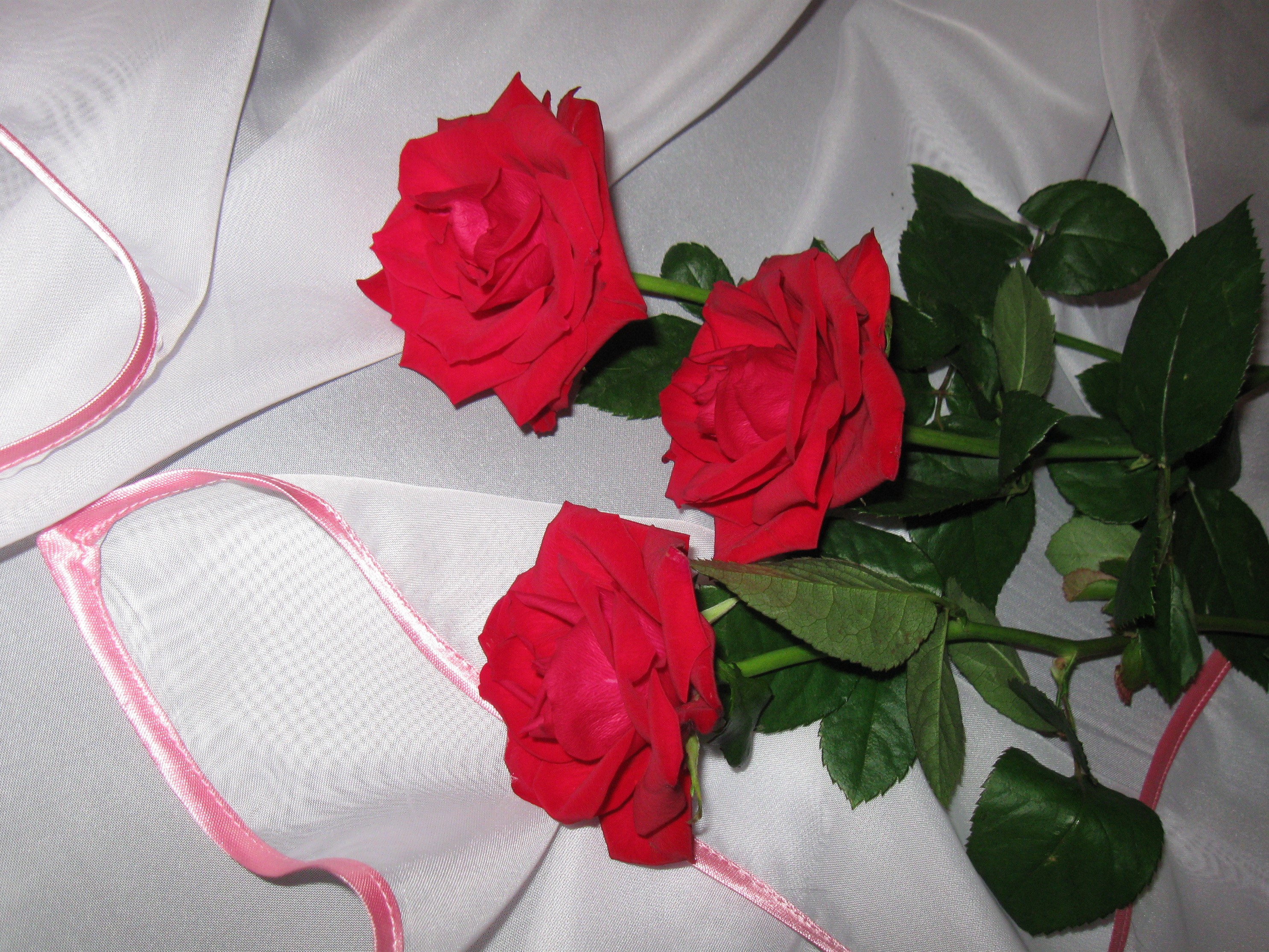 Three red roses on white fabric with pink trim HD Wallpaper