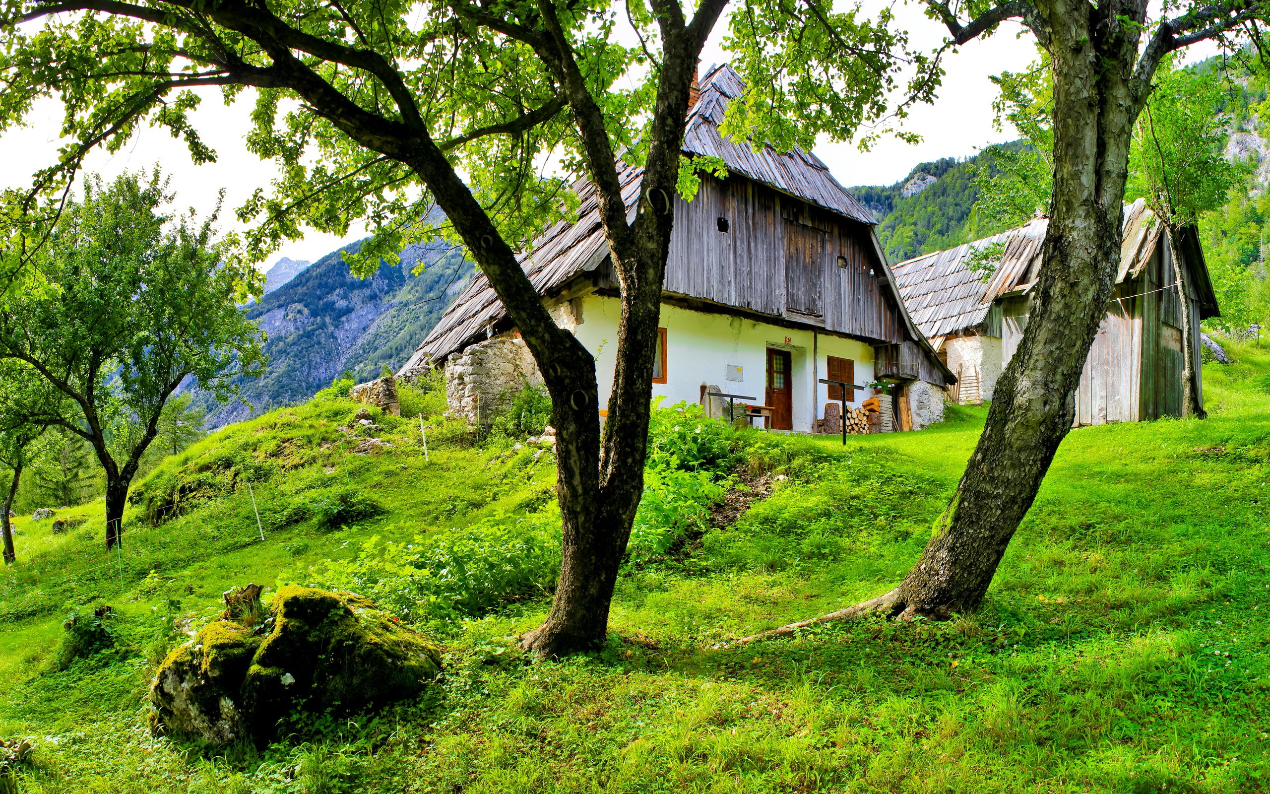 Traditional houses on a grassy hillside in Slovenia HD Wallpaper