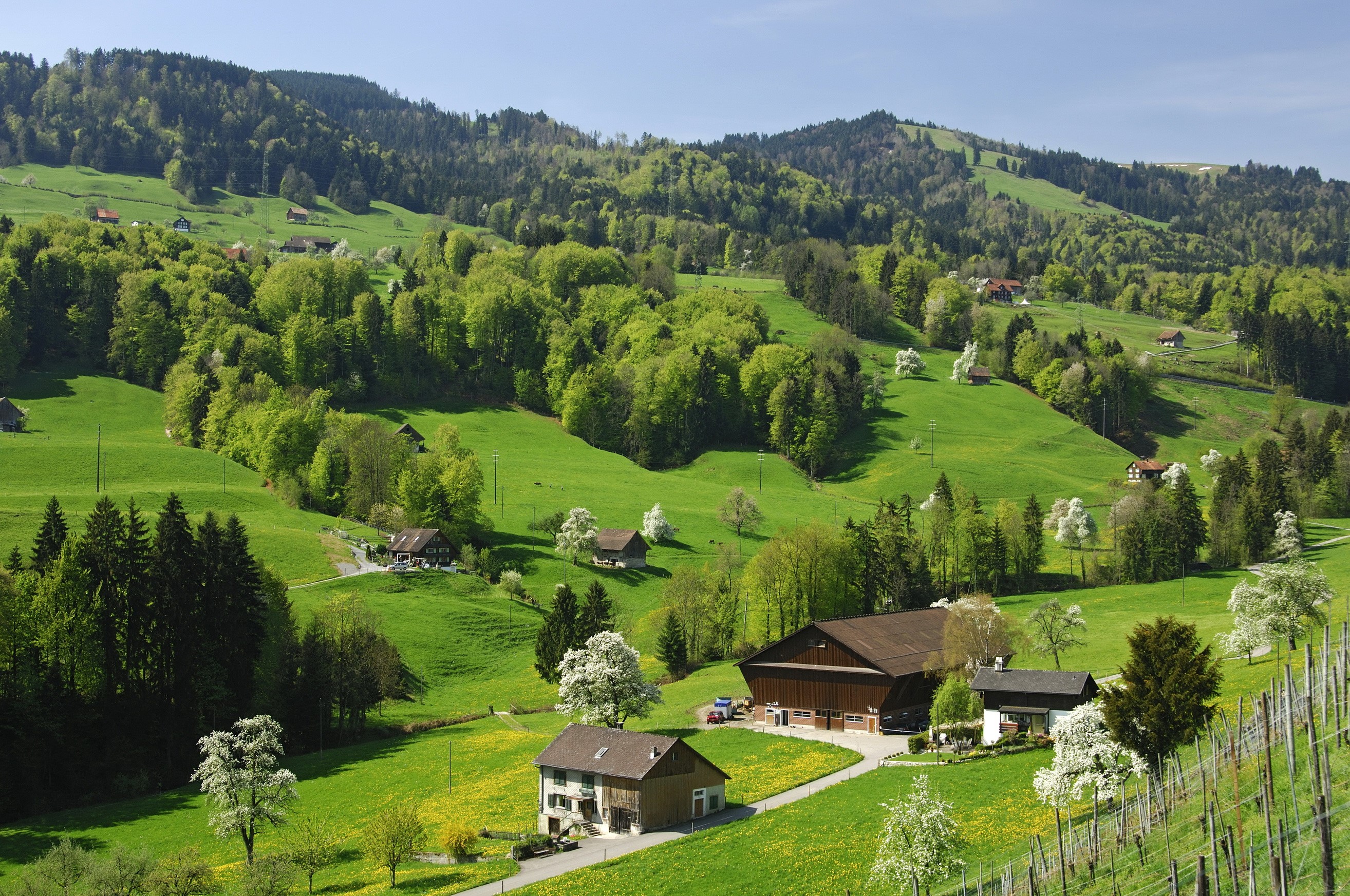 Green rolling hills with houses and trees in Switzerland HD Wallpaper