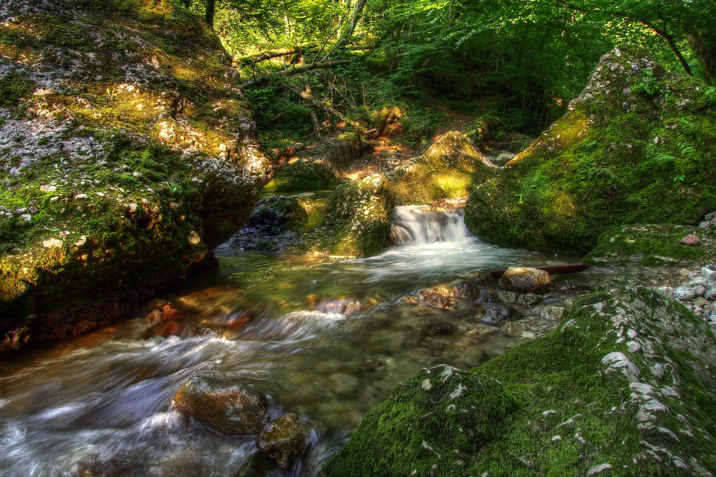 Mossy rocks and a stream in a forest HD Wallpaper