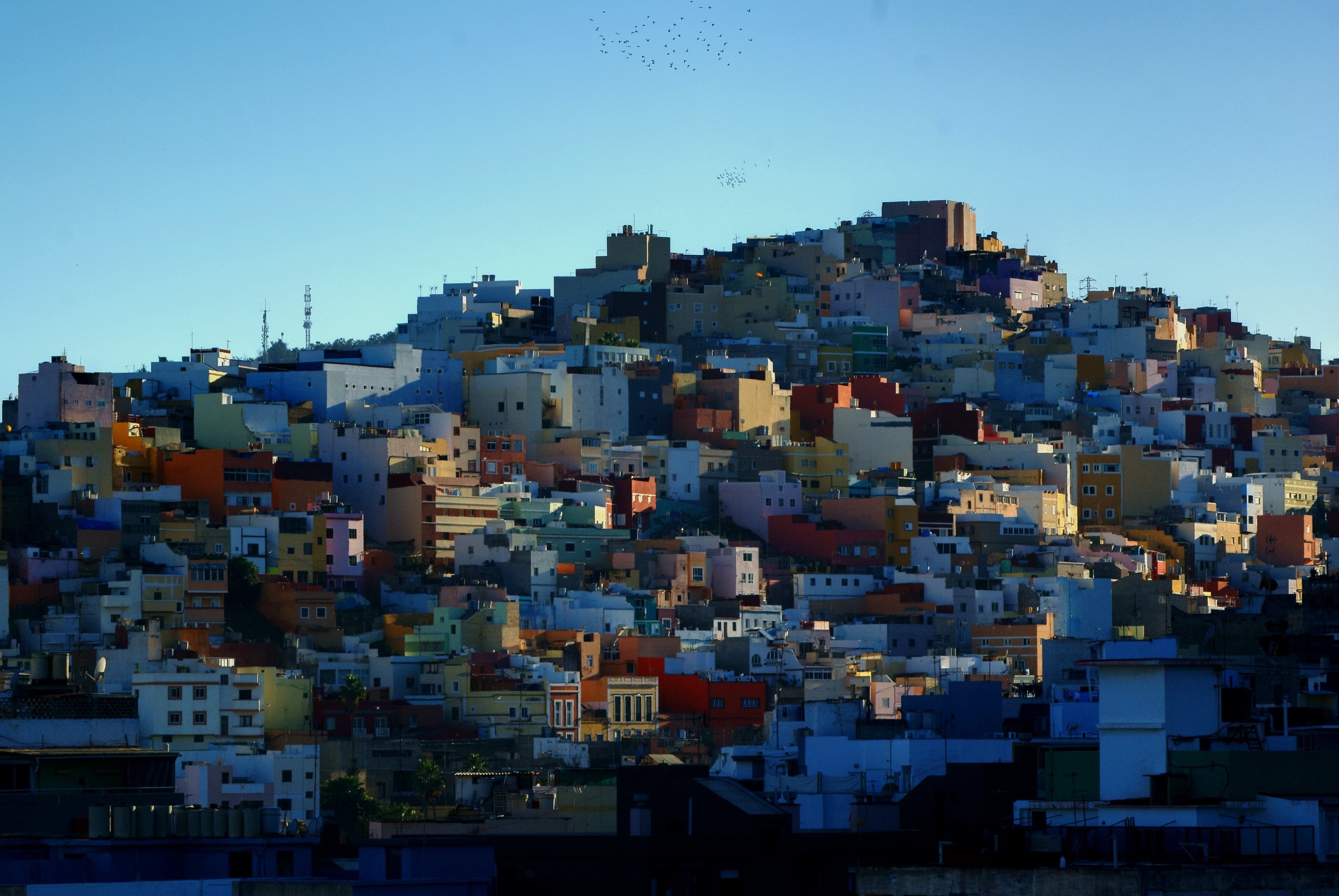 Colorful houses on a hillside in the Canary Islands, Spain HD Wallpaper