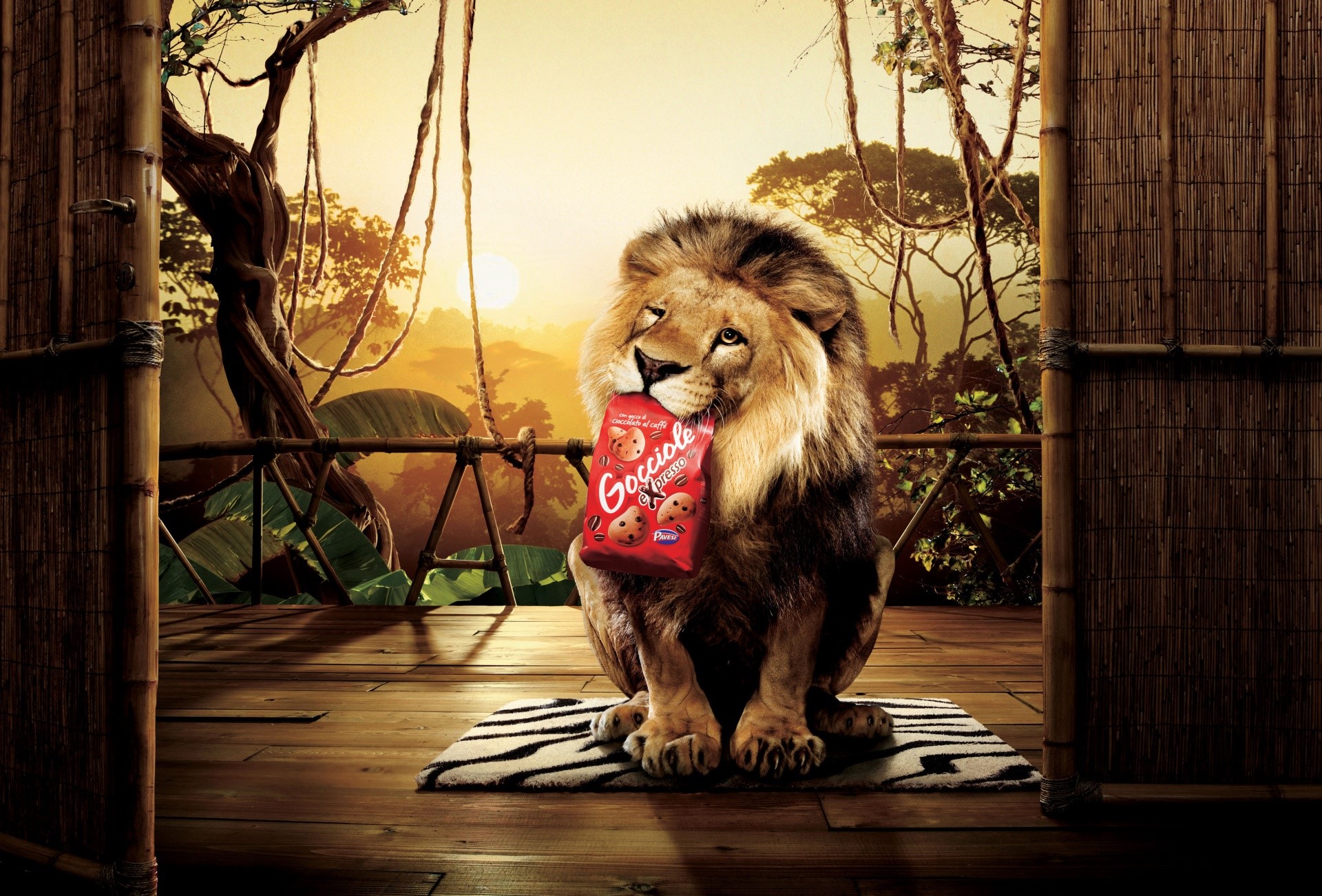 Lion holding Gocciole cookies in jungle setting HD Wallpaper