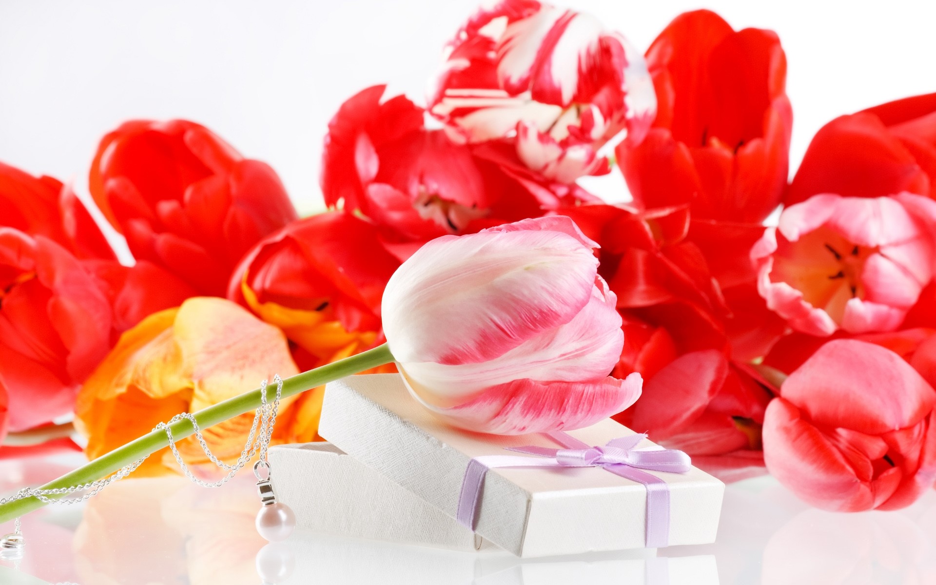 Tulips and a gift box with a necklace HD Wallpaper