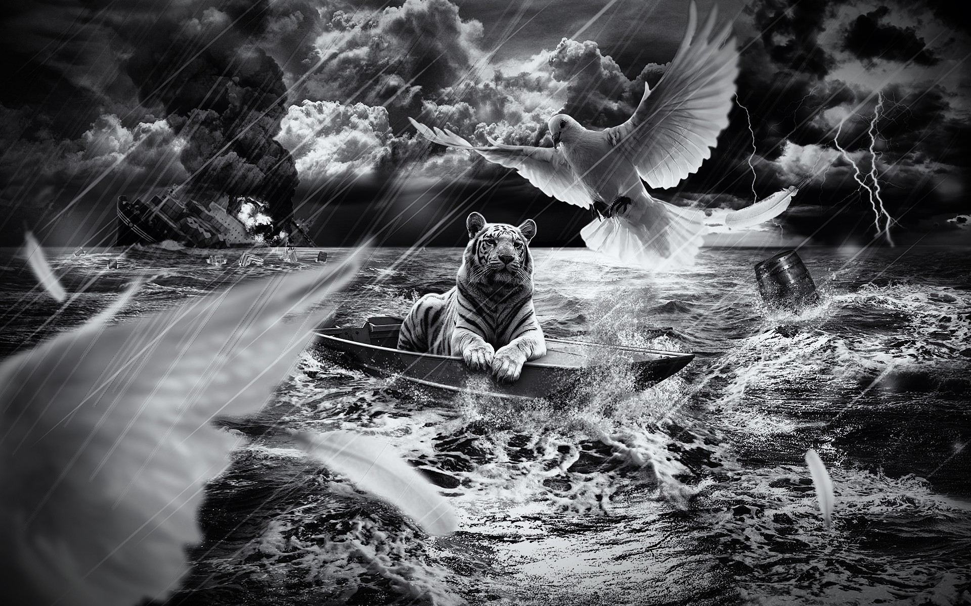 Tiger in a boat with doves during a storm HD Wallpaper
