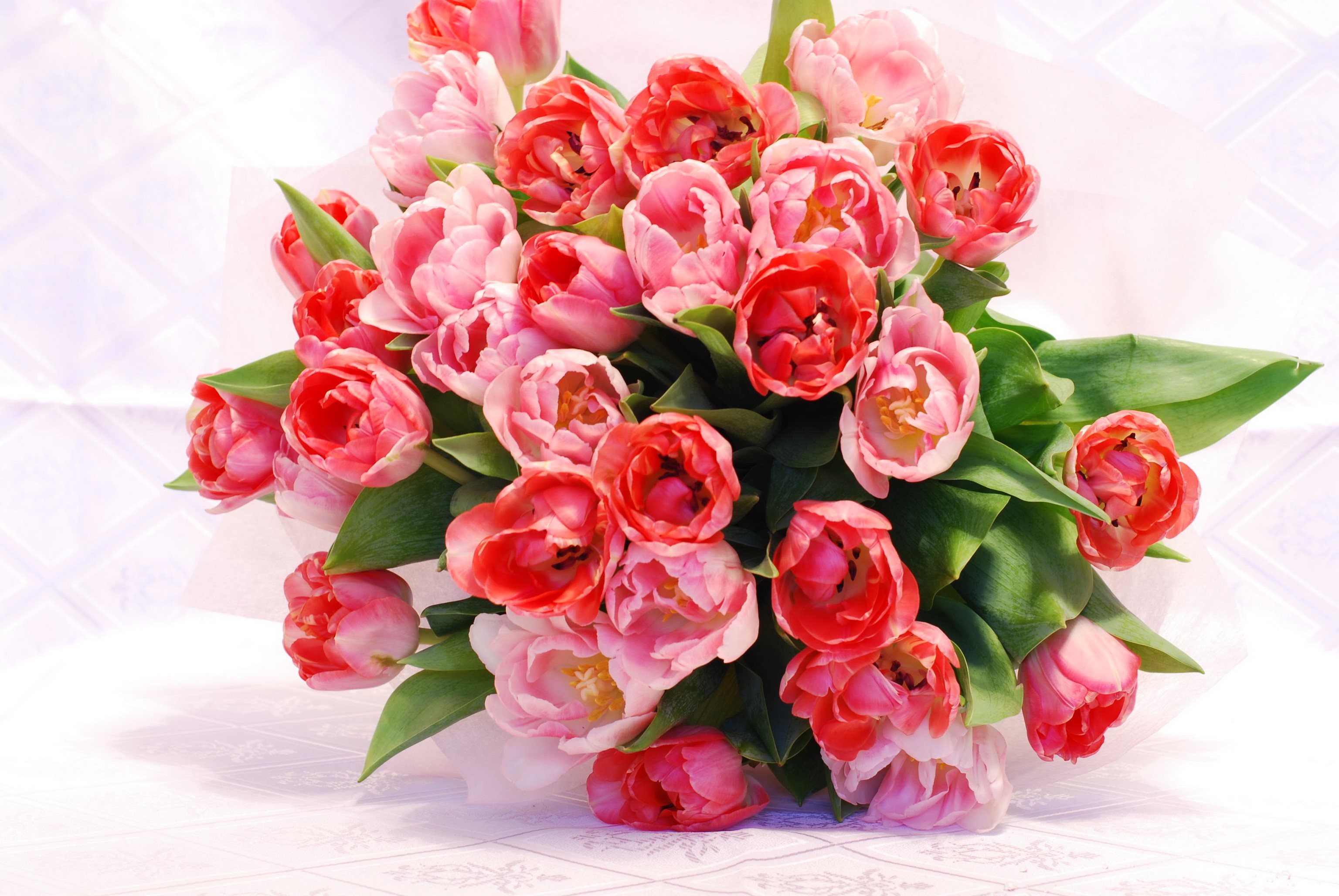 Bouquet of Pink and Red Tulips HD Wallpaper