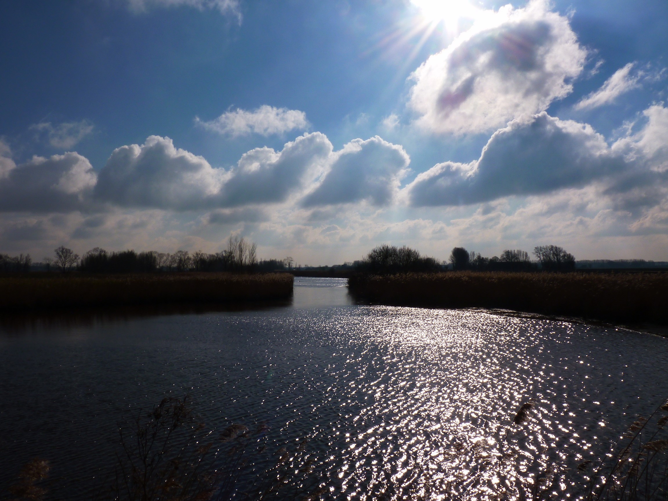 River with reeds and sunlit clouds HD Wallpaper