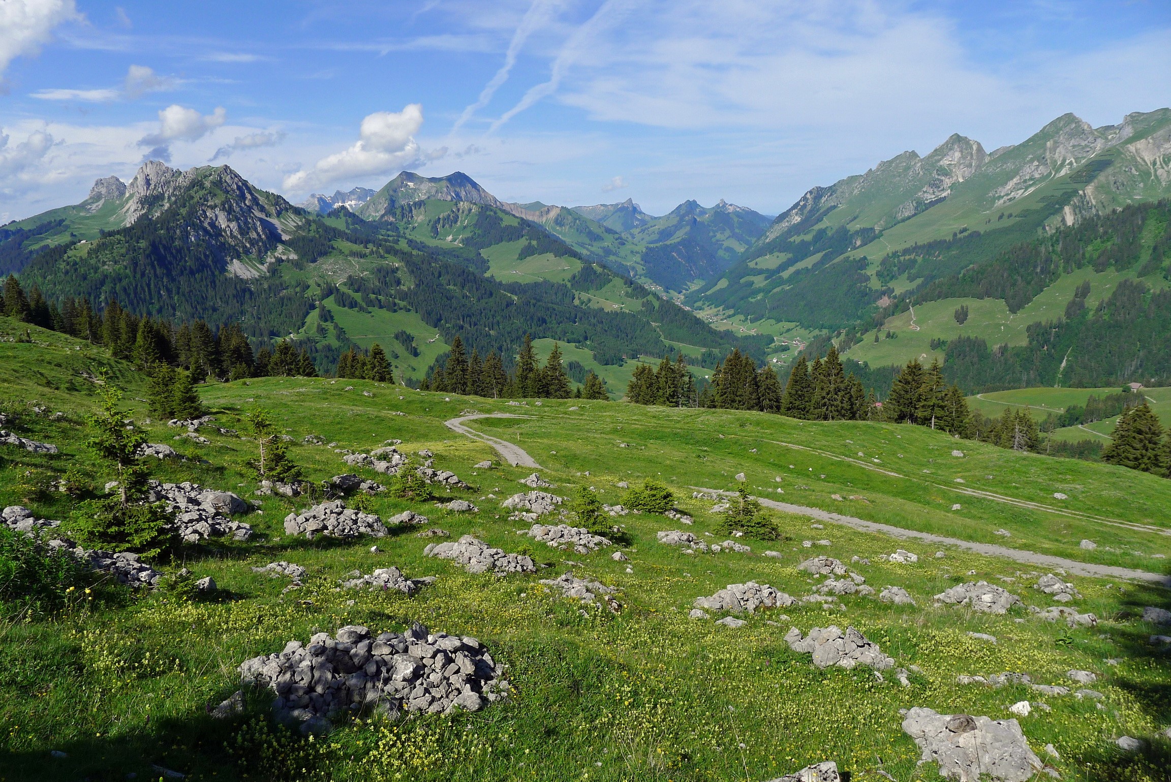 Mountain valley with green grasslands and scattered stones in Switzerland HD Wallpaper