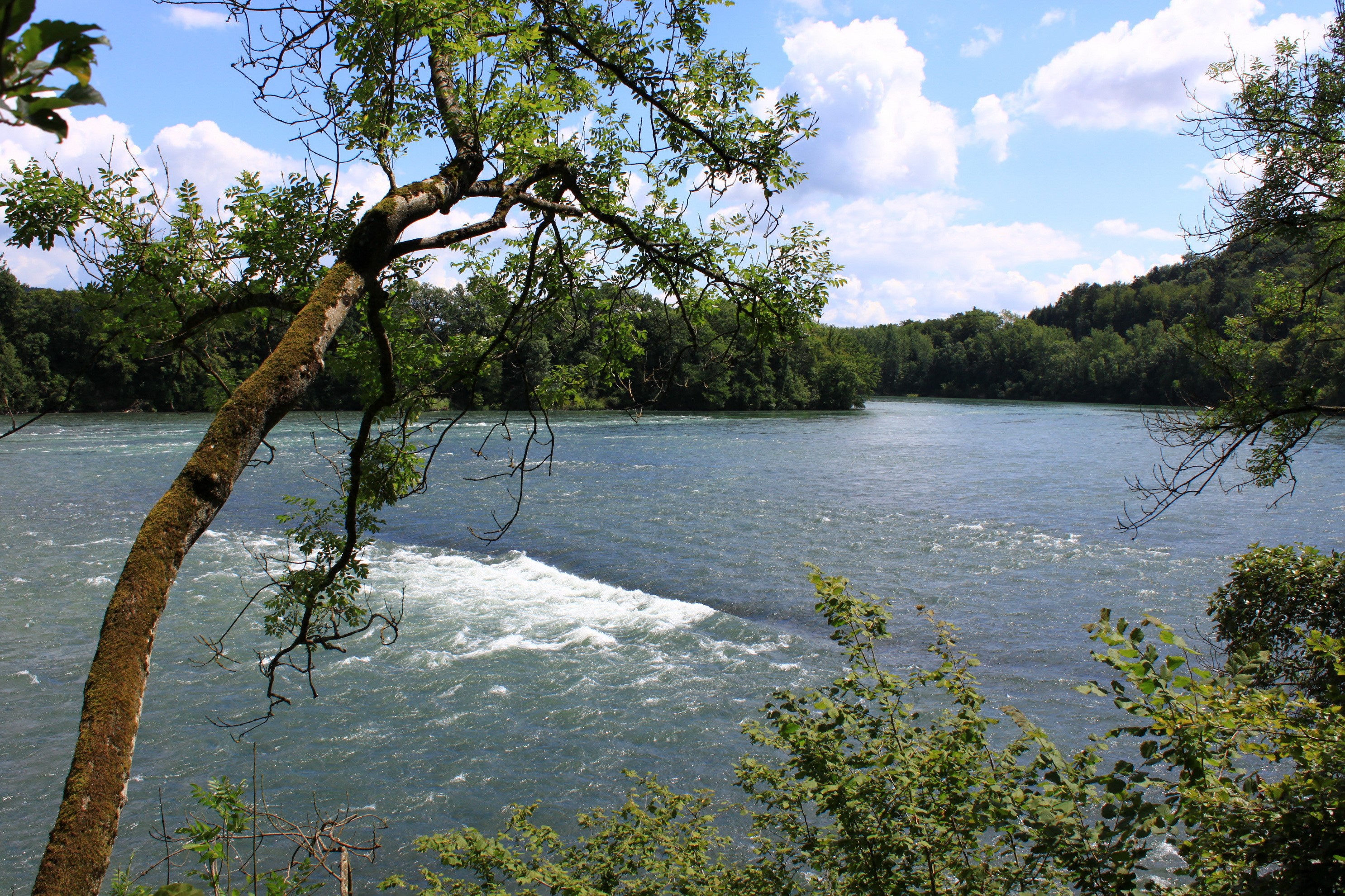 Rhine River rapids near Rietheim, Switzerland HD Wallpaper