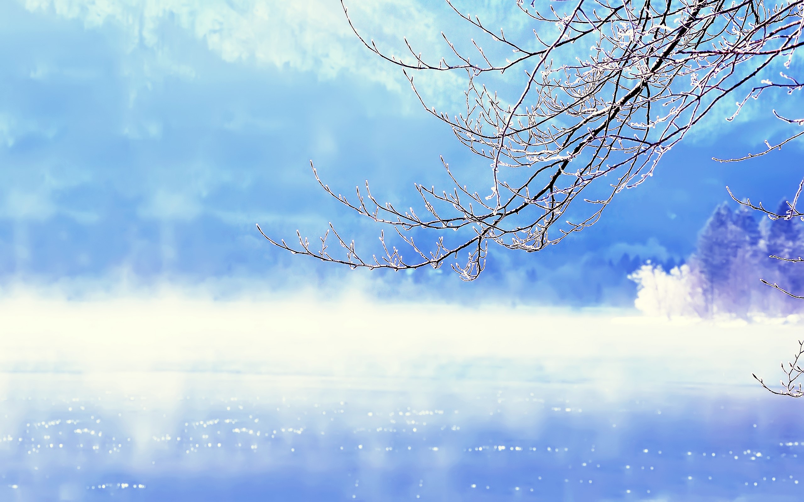 Winter scene with frosted branches over foggy water HD Wallpaper