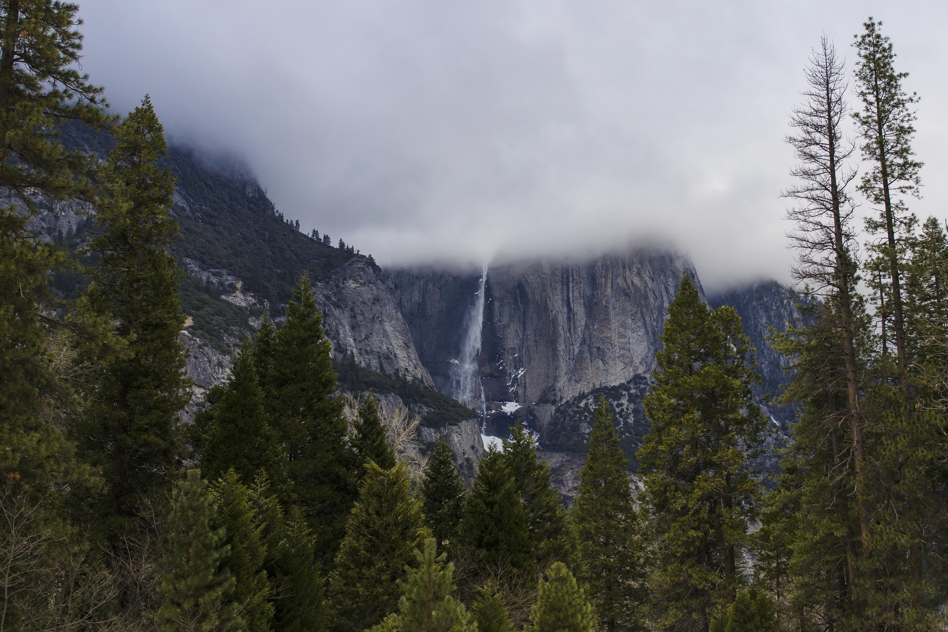 Yosemite National Park Waterfall with Pine Trees HD Wallpaper