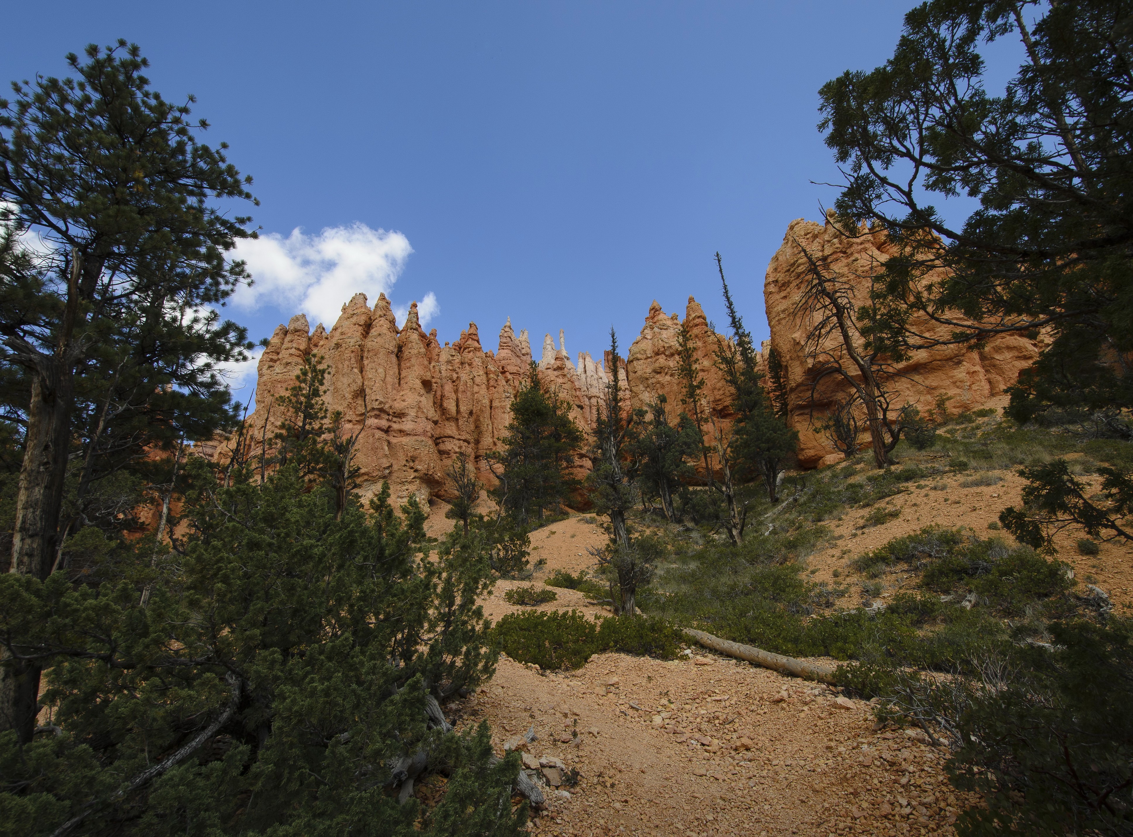 Bryce Canyon Hoodoos, Utah, USA HD Wallpaper
