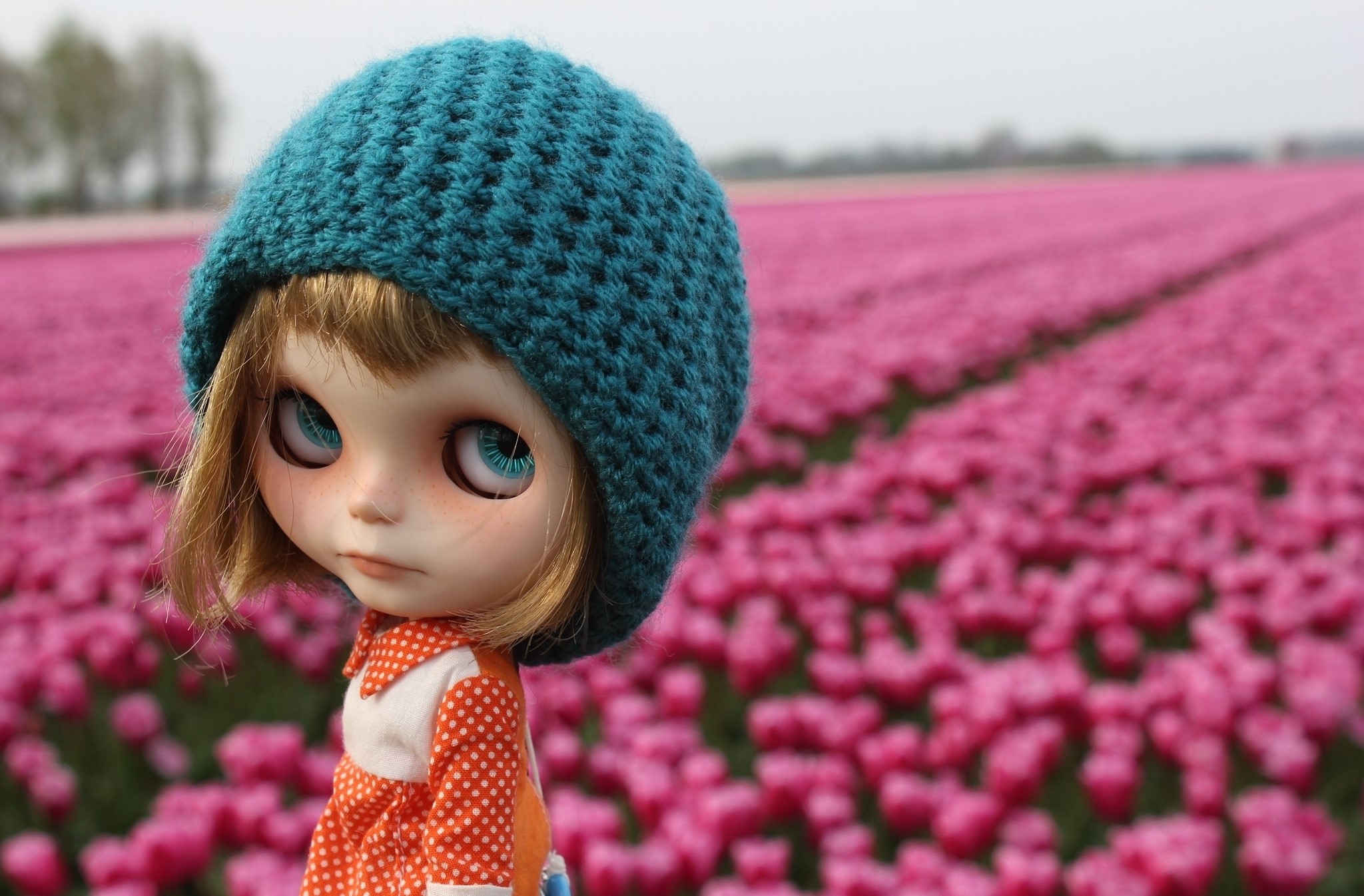 Doll wearing a teal hat in a field of pink tulips HD Wallpaper