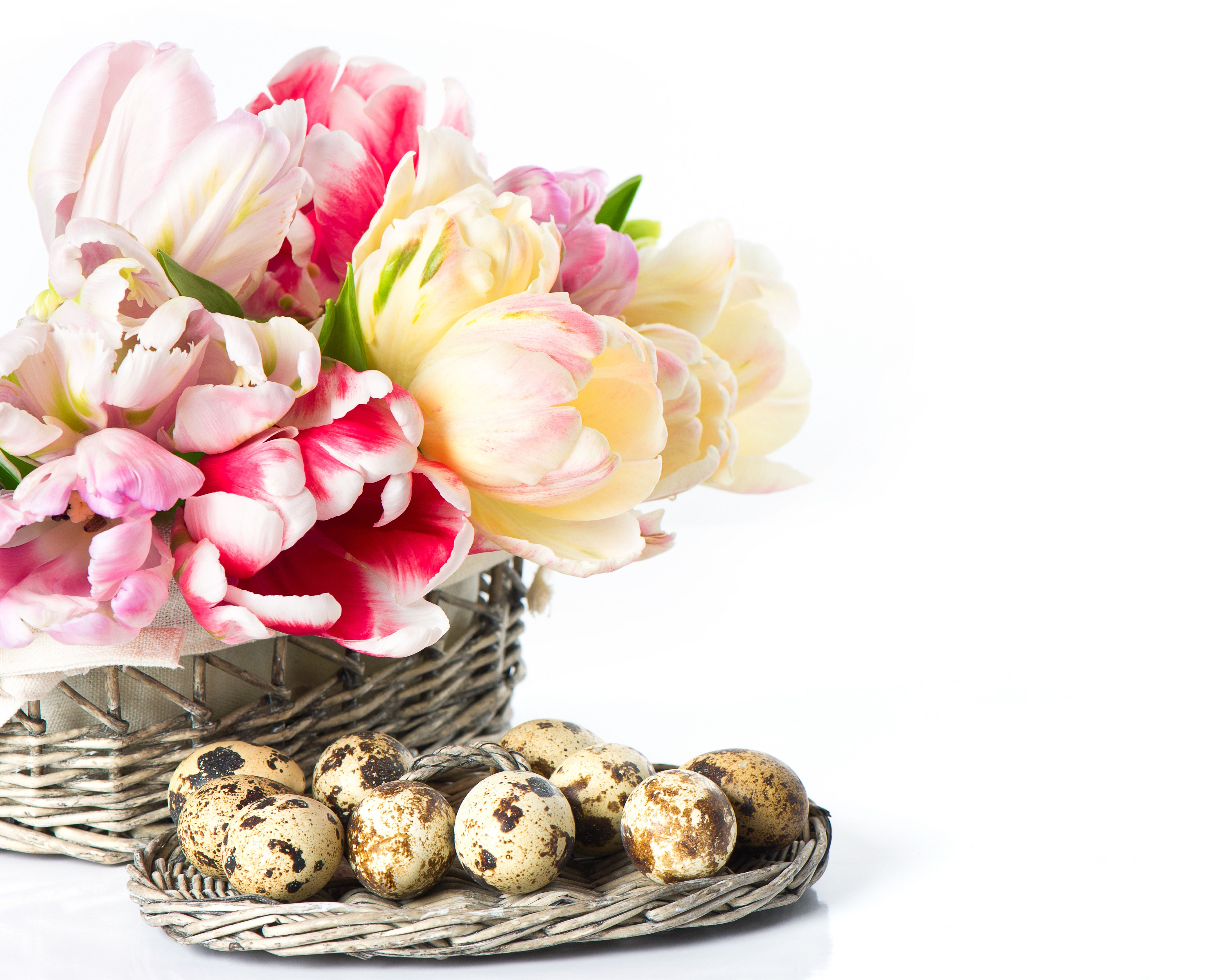 Easter Tulips and Quail Eggs in a Basket HD Wallpaper