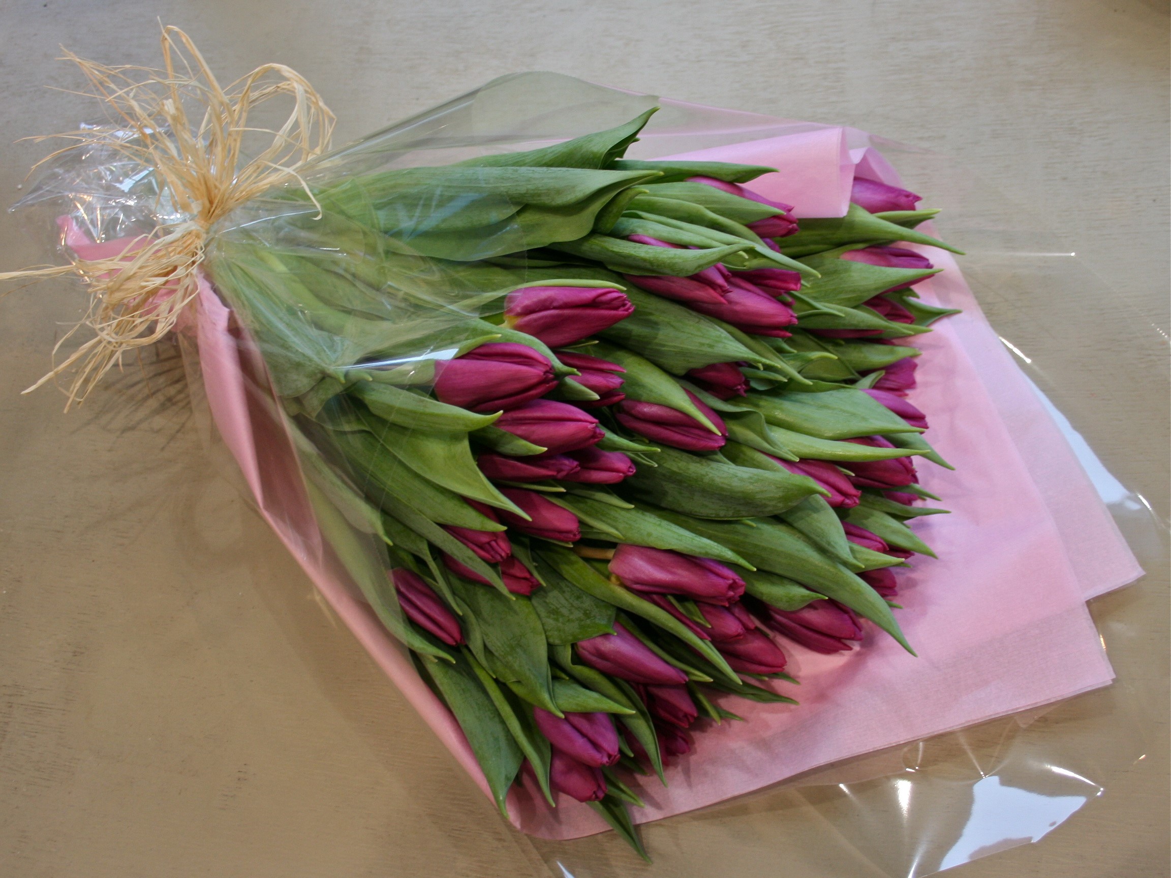 Bouquet of pink tulips wrapped in plastic HD Wallpaper
