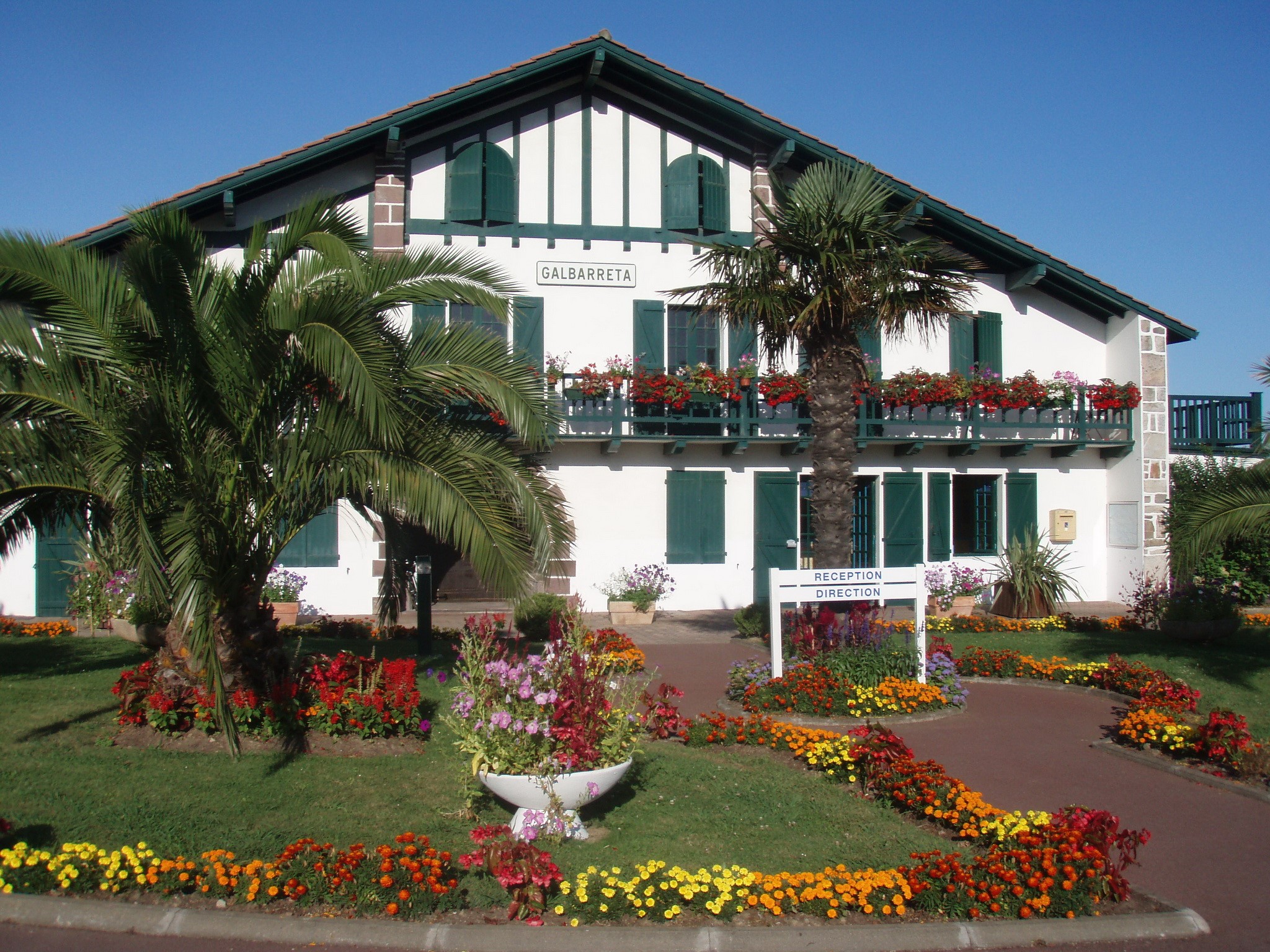 Galbarreta building with palm trees and flowers HD Wallpaper
