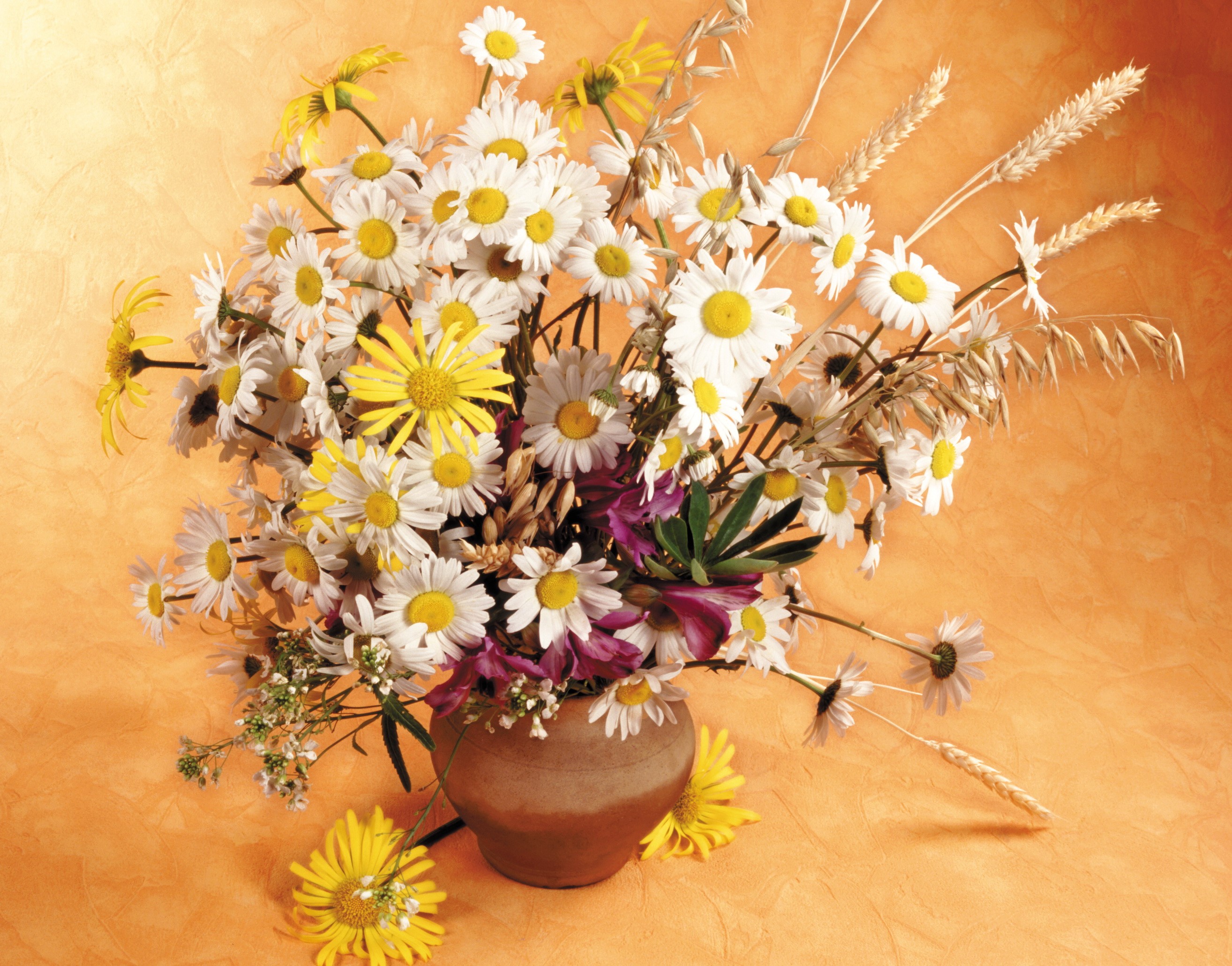 Bouquet of Camomiles and Wildflowers in a Vase HD Wallpaper