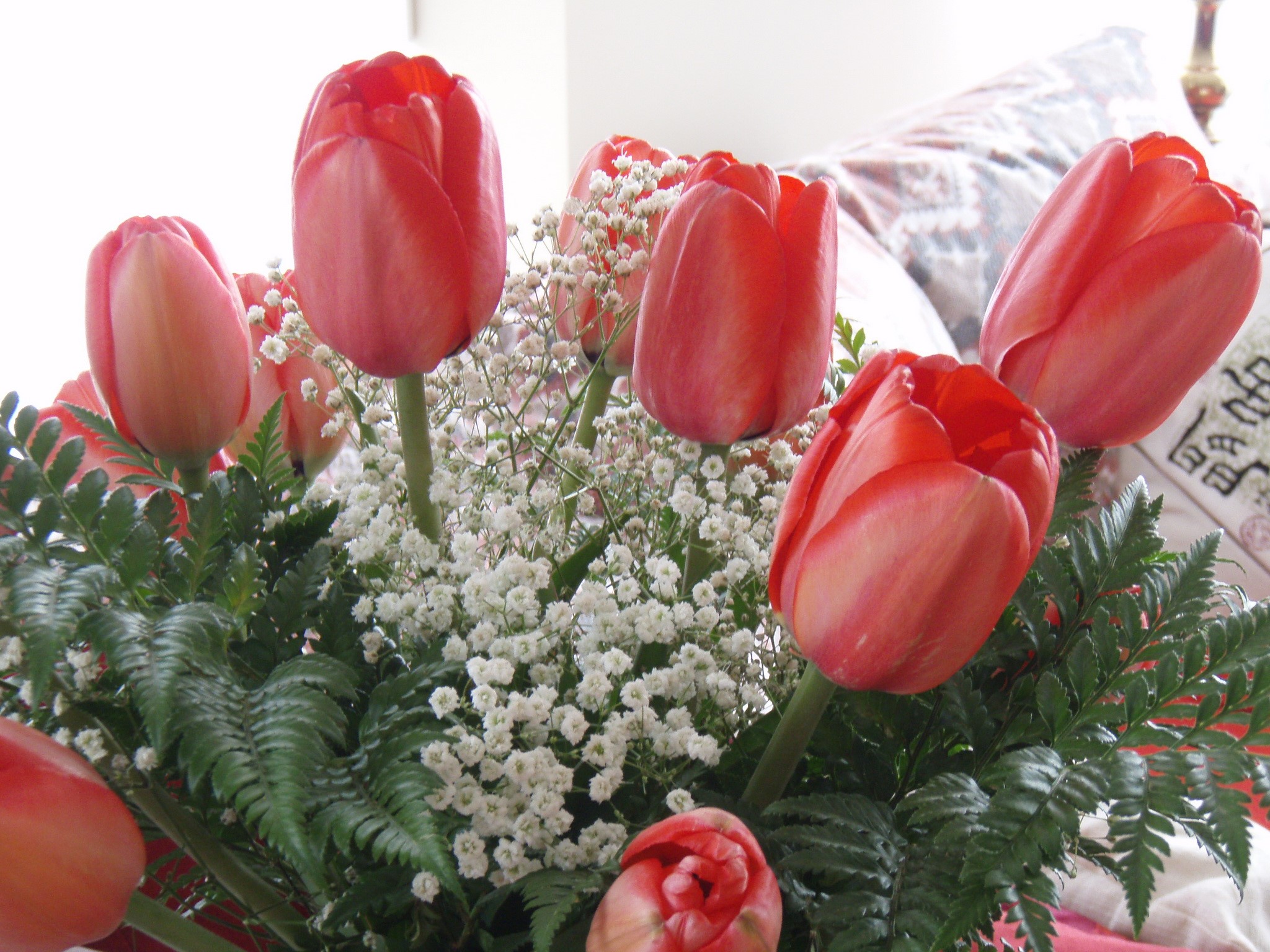 Red Tulips and Ferns Bouquet HD Wallpaper
