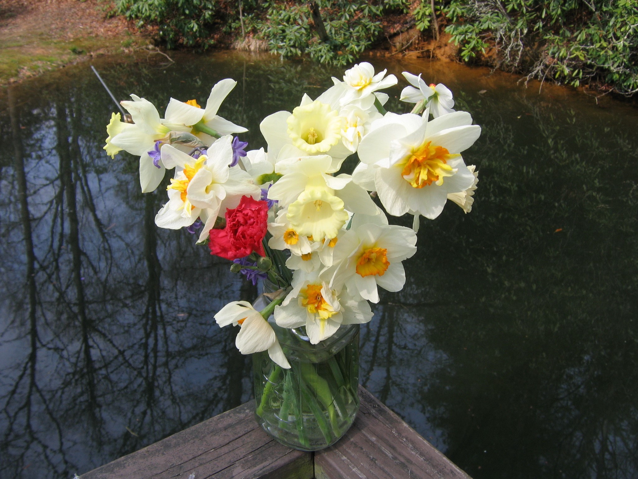 Bouquet of Daffodils and Carnation in a Jar HD Wallpaper