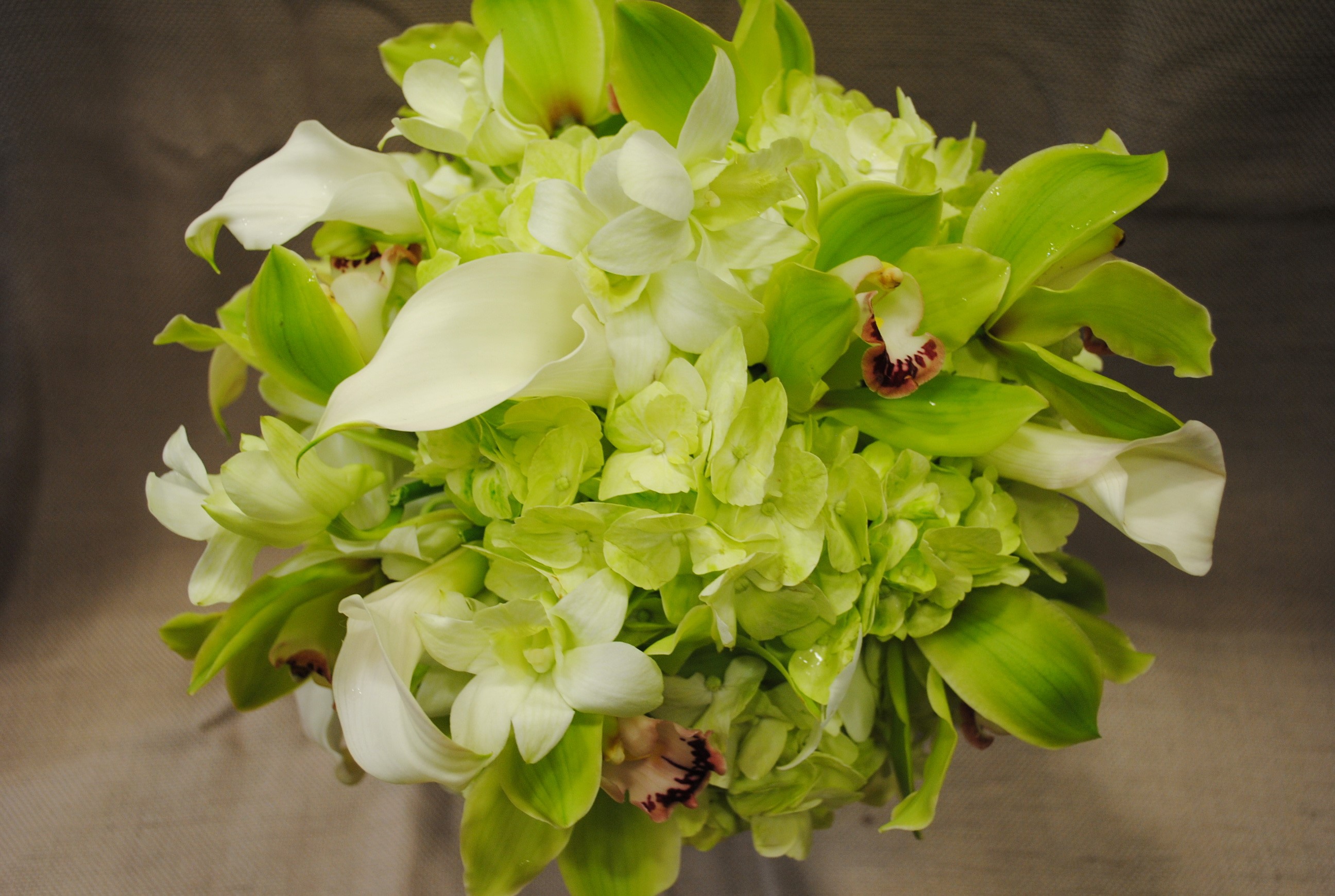 Bouquet of green orchids, white calla lilies, and hydrangeas HD Wallpaper