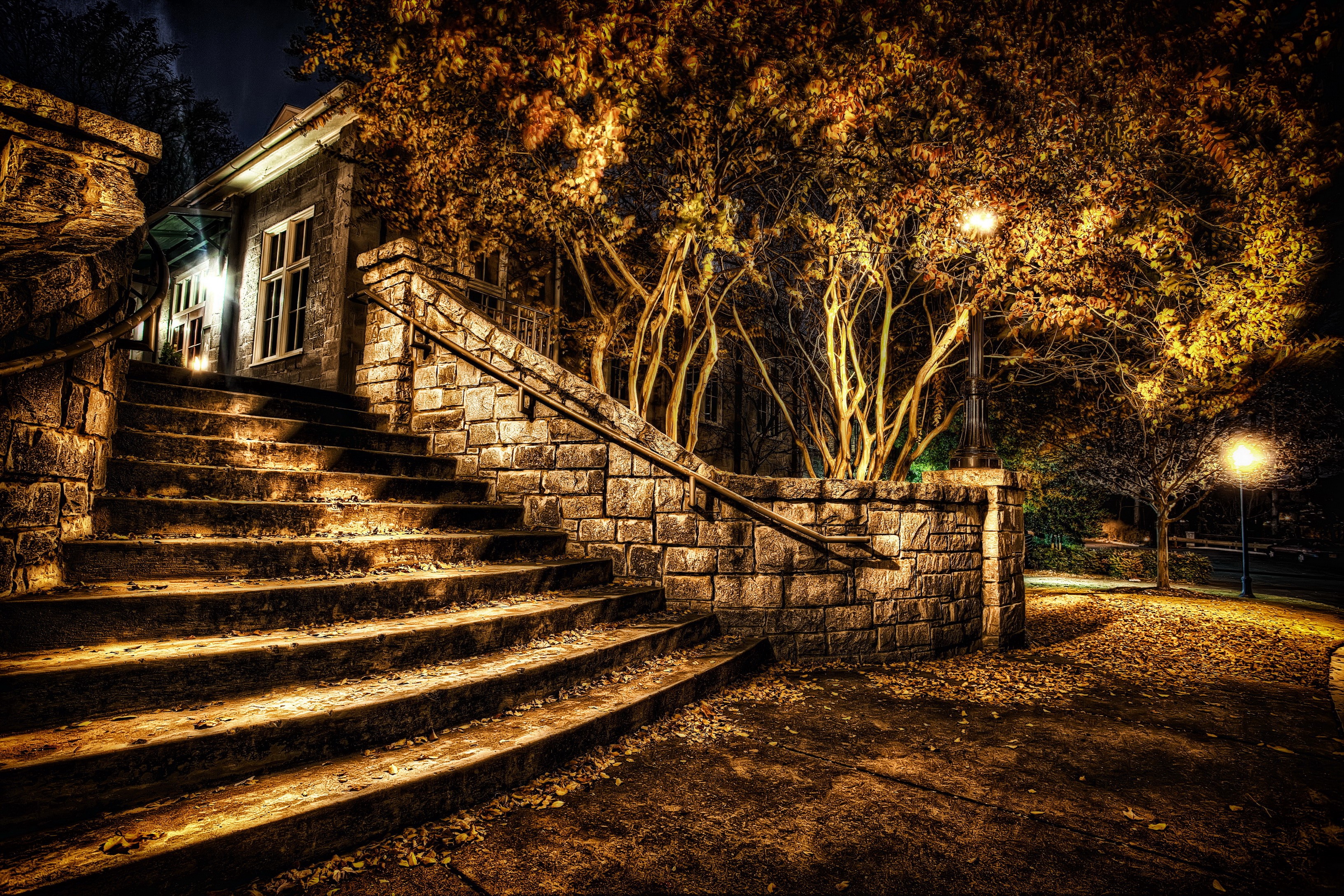 Stone stairs and trees at night in autumn HD Wallpaper