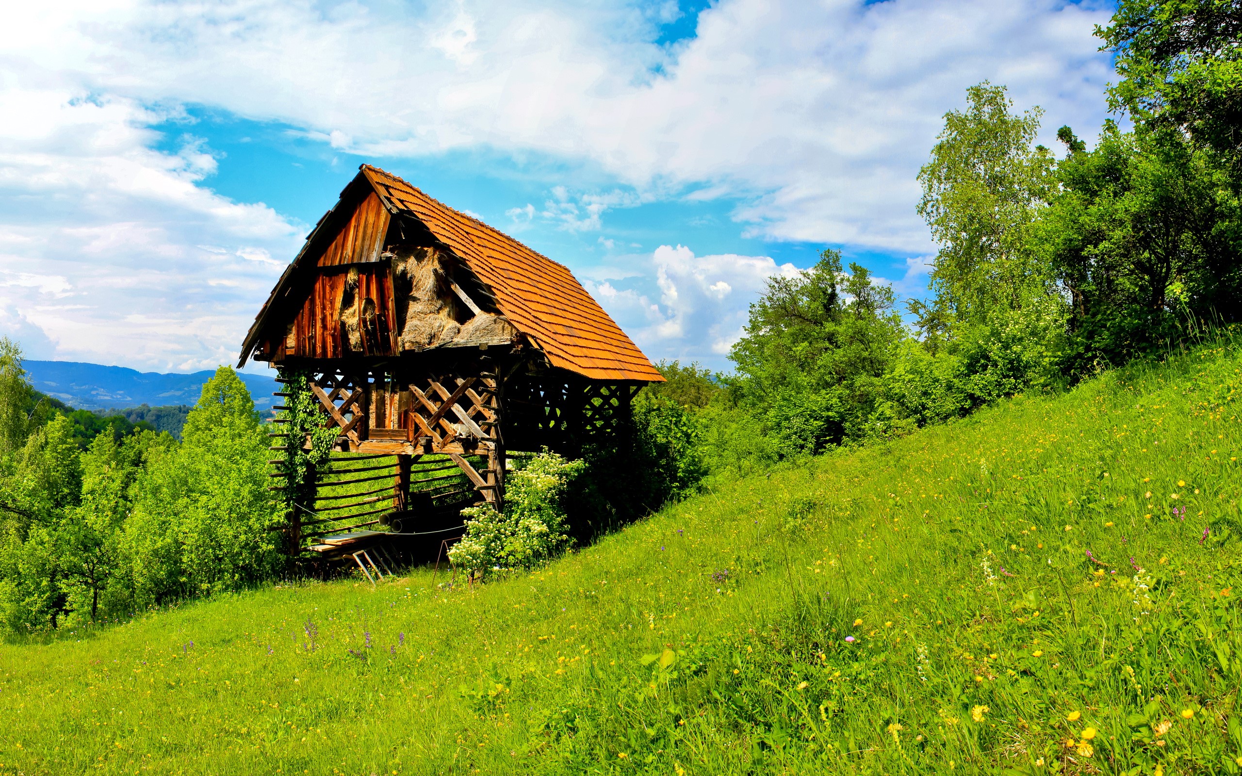 Wooden structure on a grassy hill in Slovenia HD Wallpaper