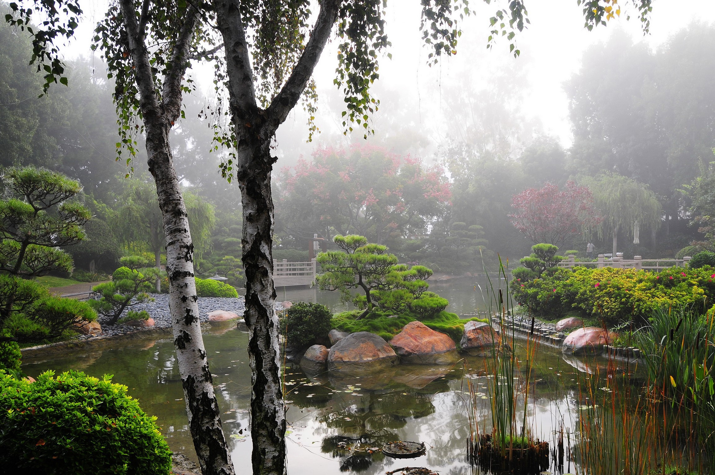 Earl Burns Miller Japanese Garden with Pond in California HD Wallpaper