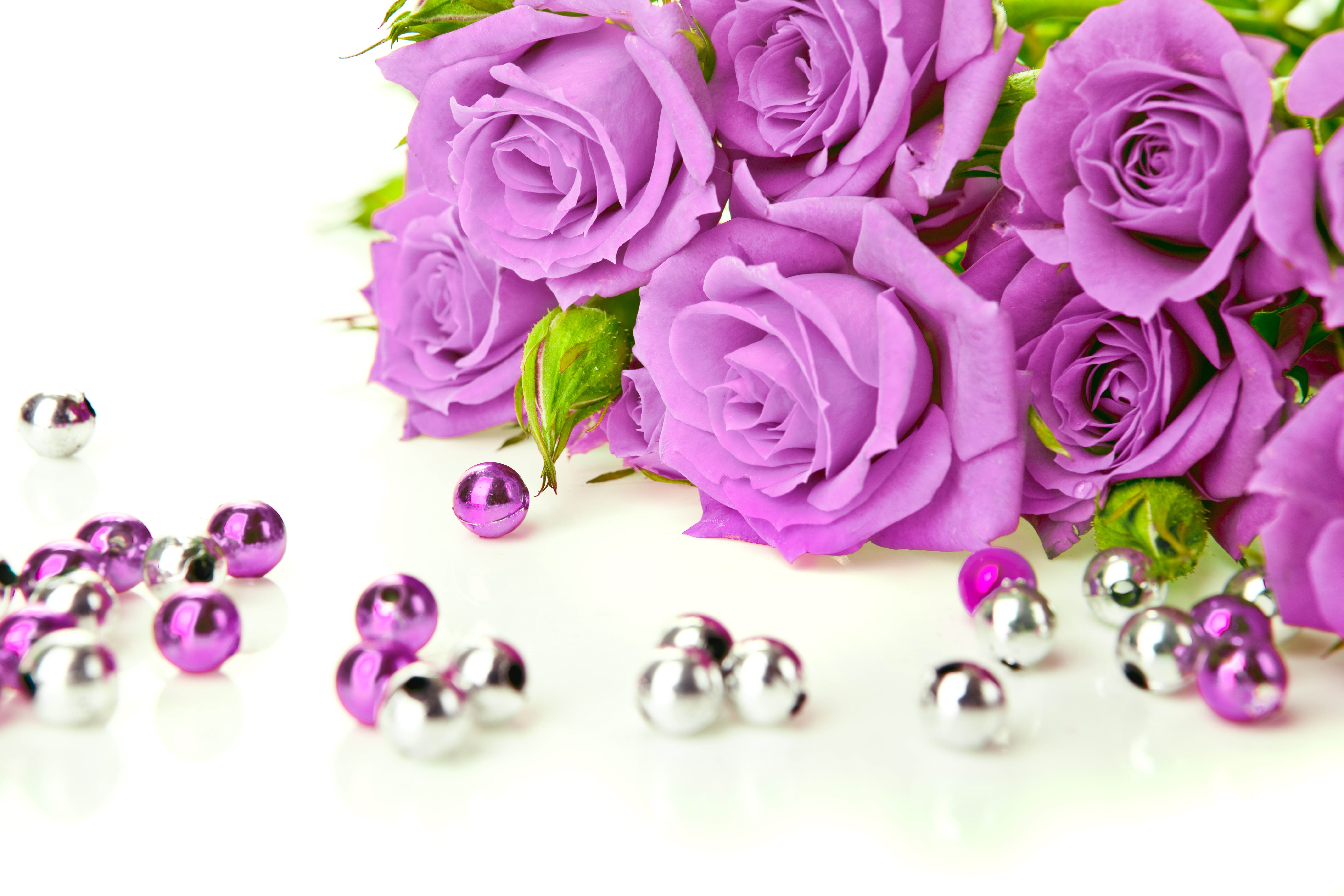 Purple Roses with Silver and Purple Beads HD Wallpaper