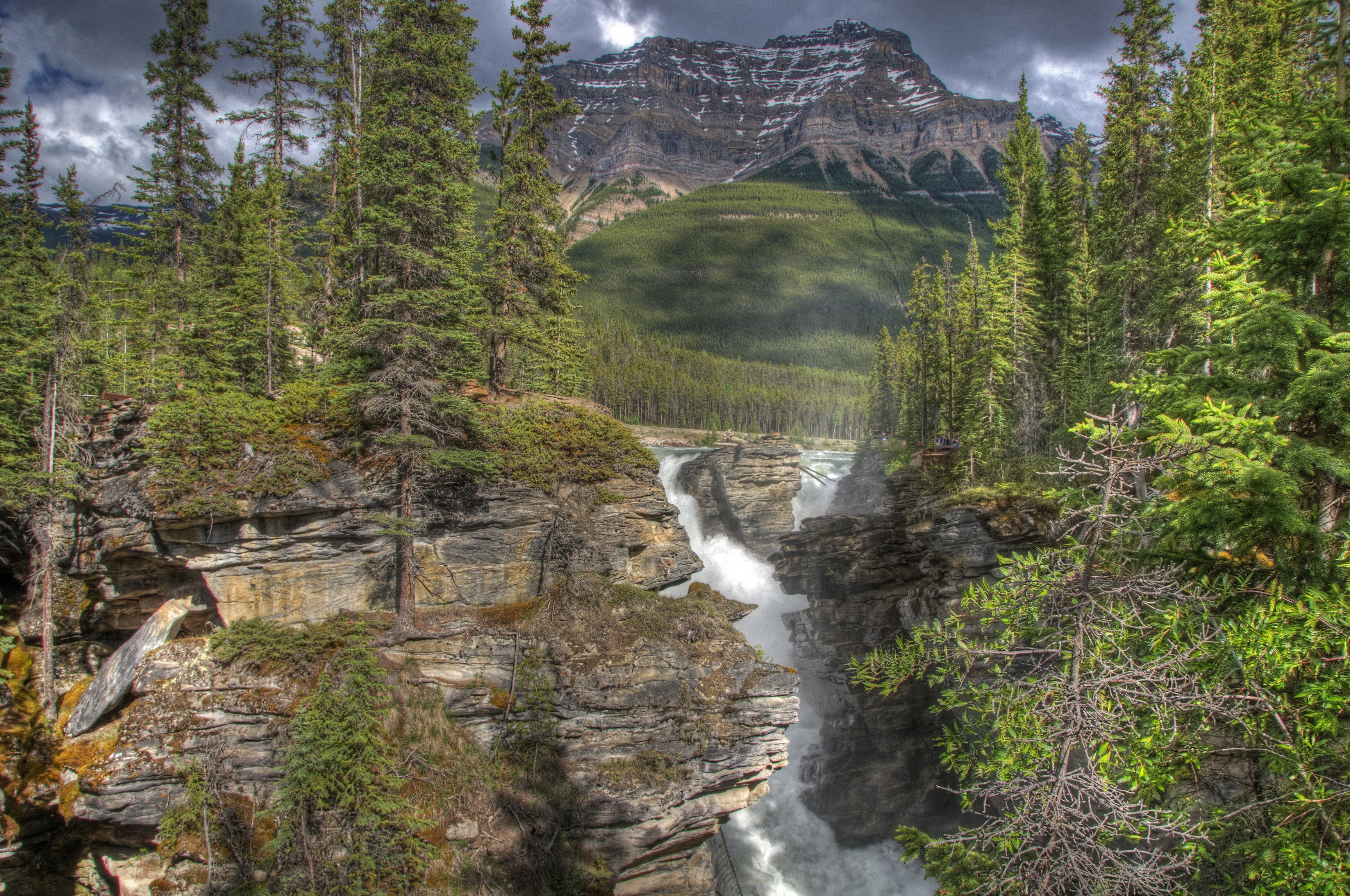Athabasca Falls in Jasper National Park, Canada HD Wallpaper