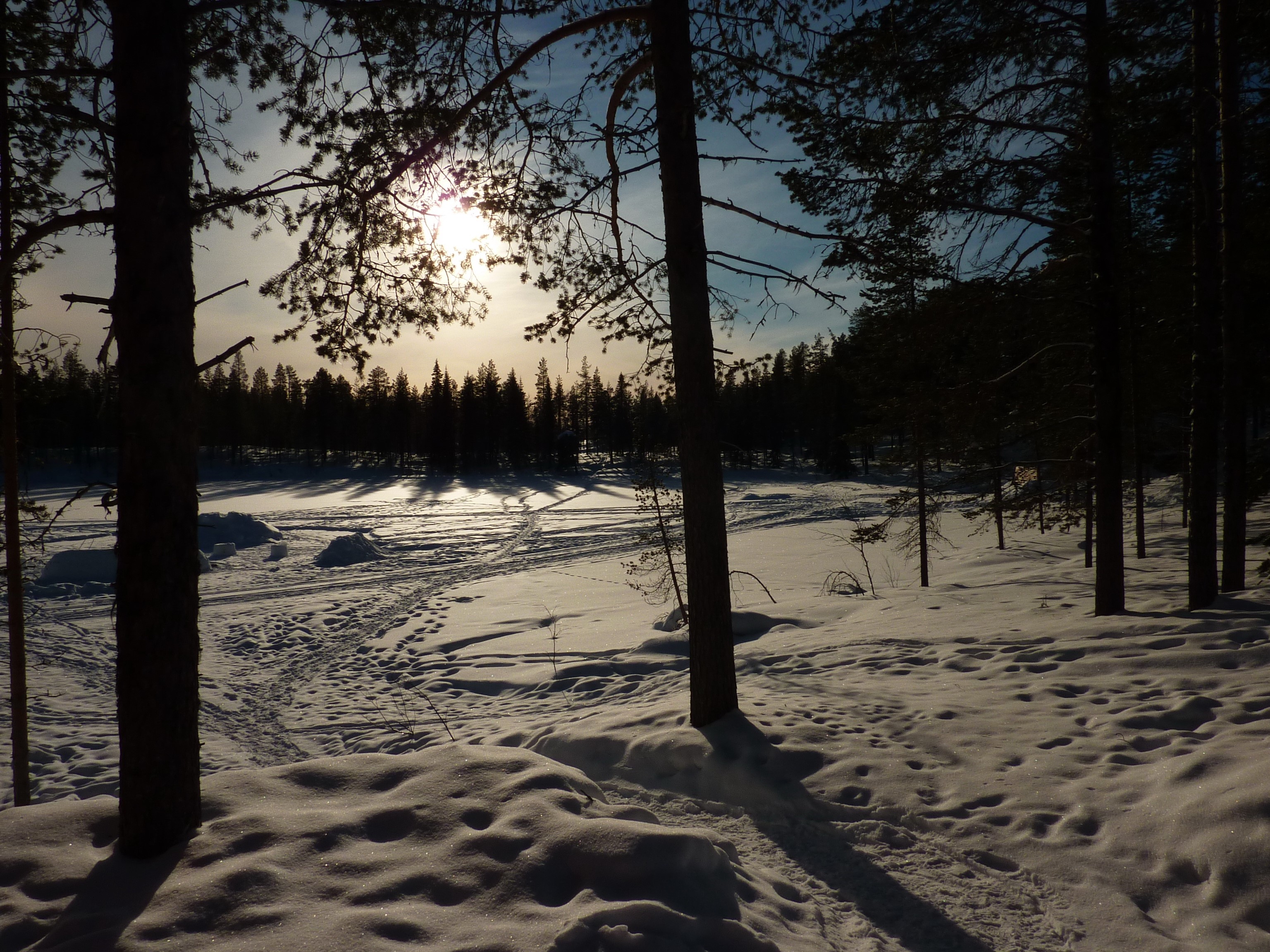Winter landscape with sun and trees in Norrbotten HD Wallpaper