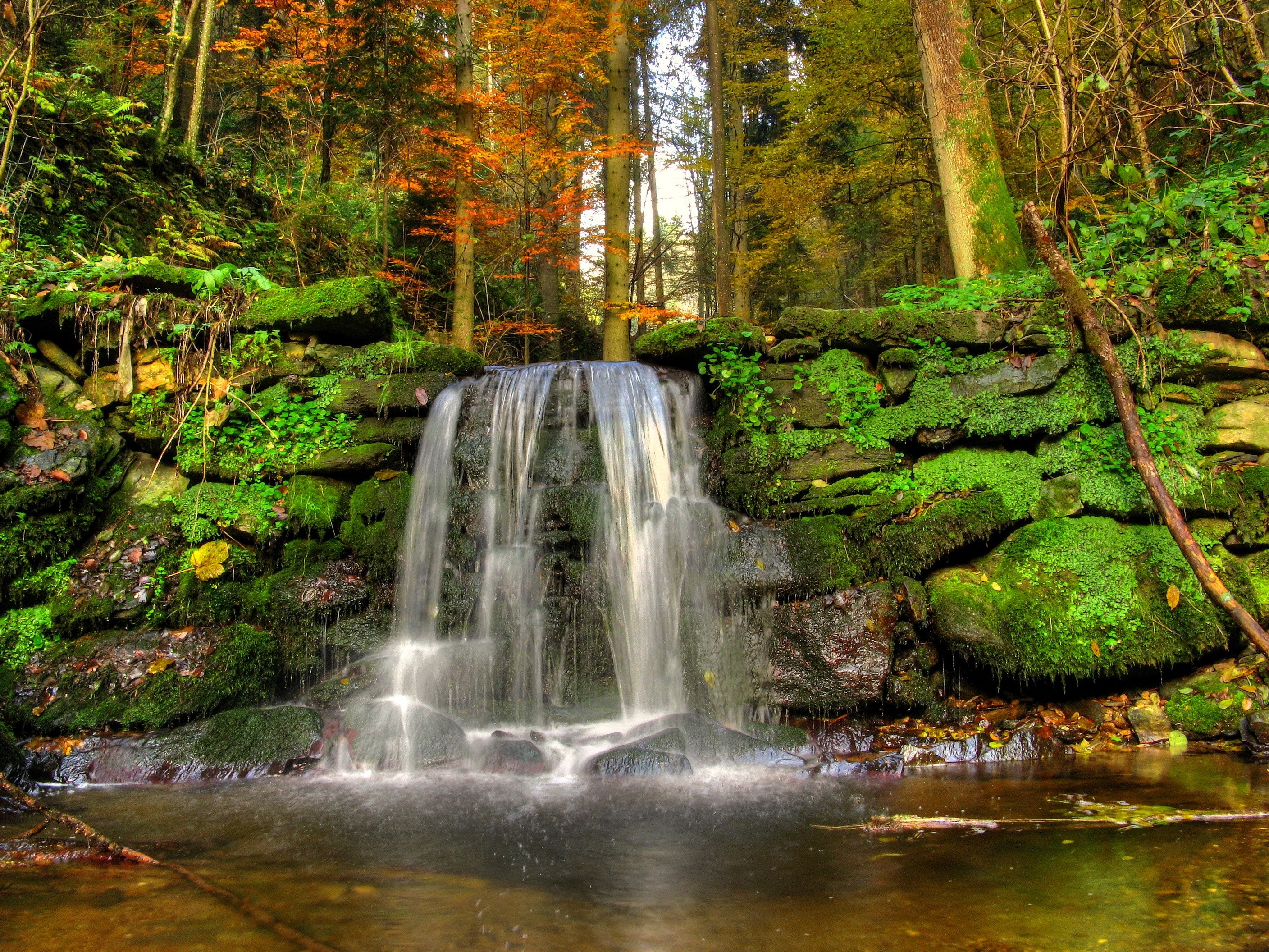 Waterfall cascading over mossy stones in an autumn forest HD Wallpaper