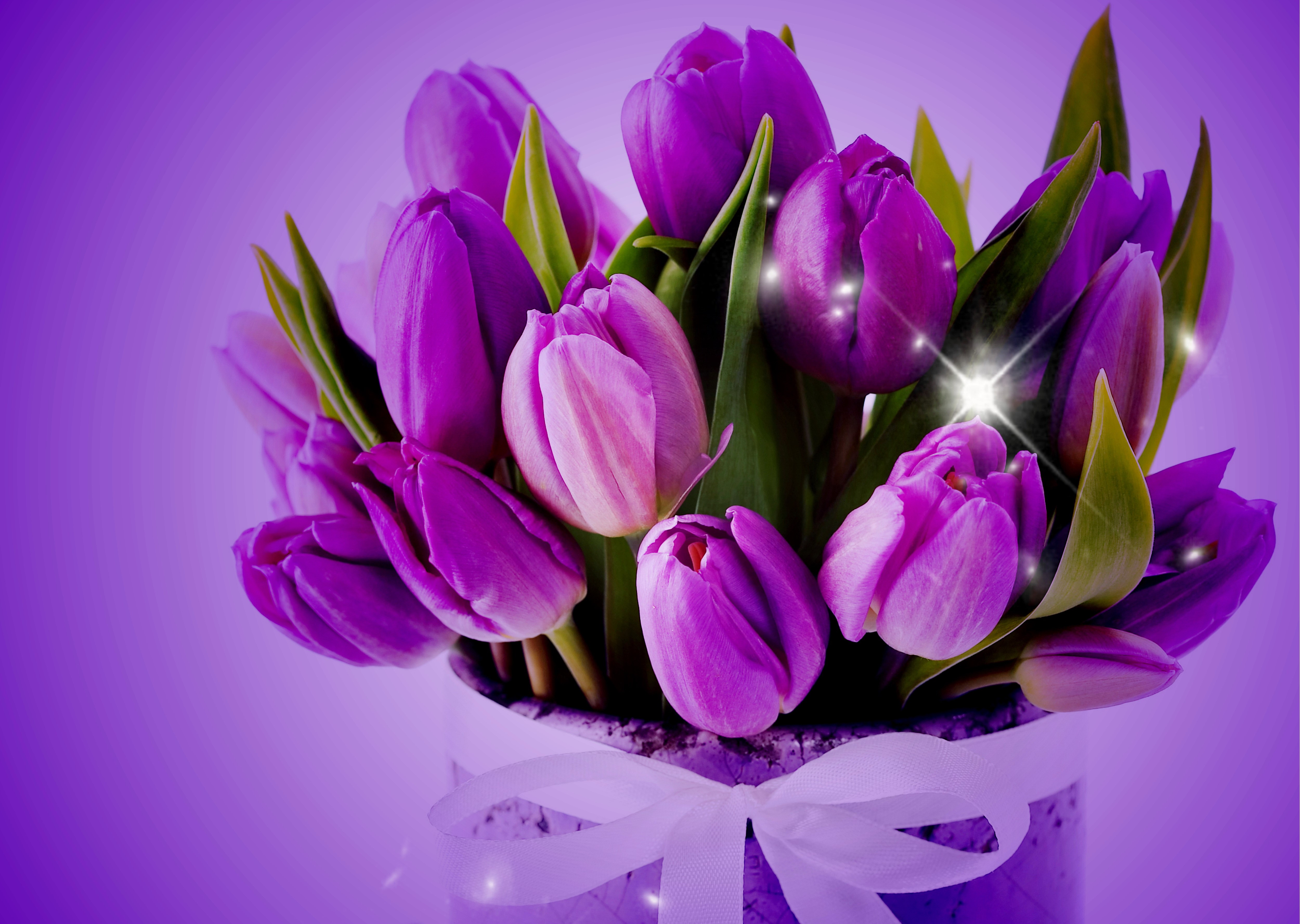 Bouquet of Violet Tulips HD Wallpaper