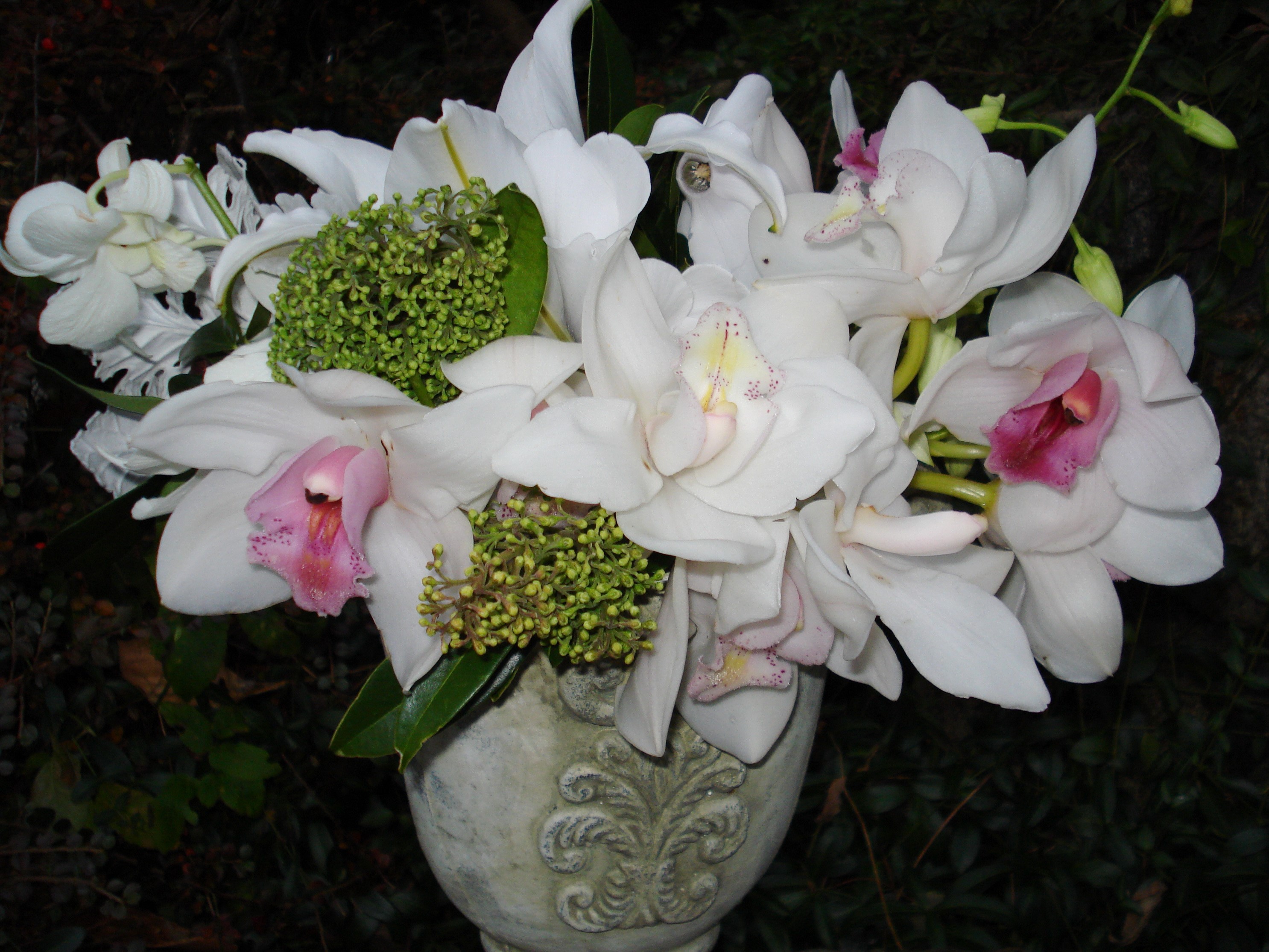 White orchids in a decorative vase HD Wallpaper