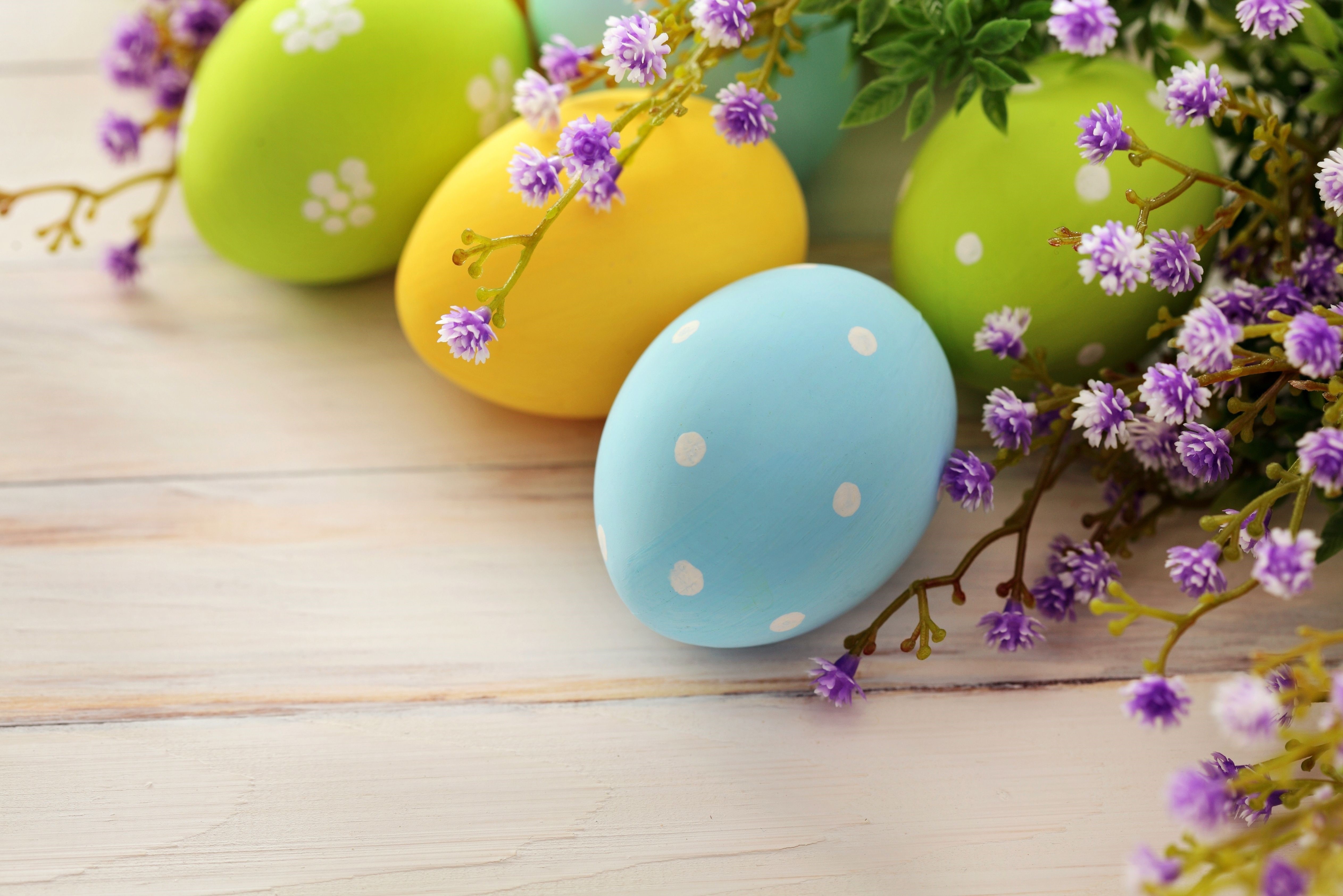 Easter eggs with purple flowers on wooden background HD Wallpaper