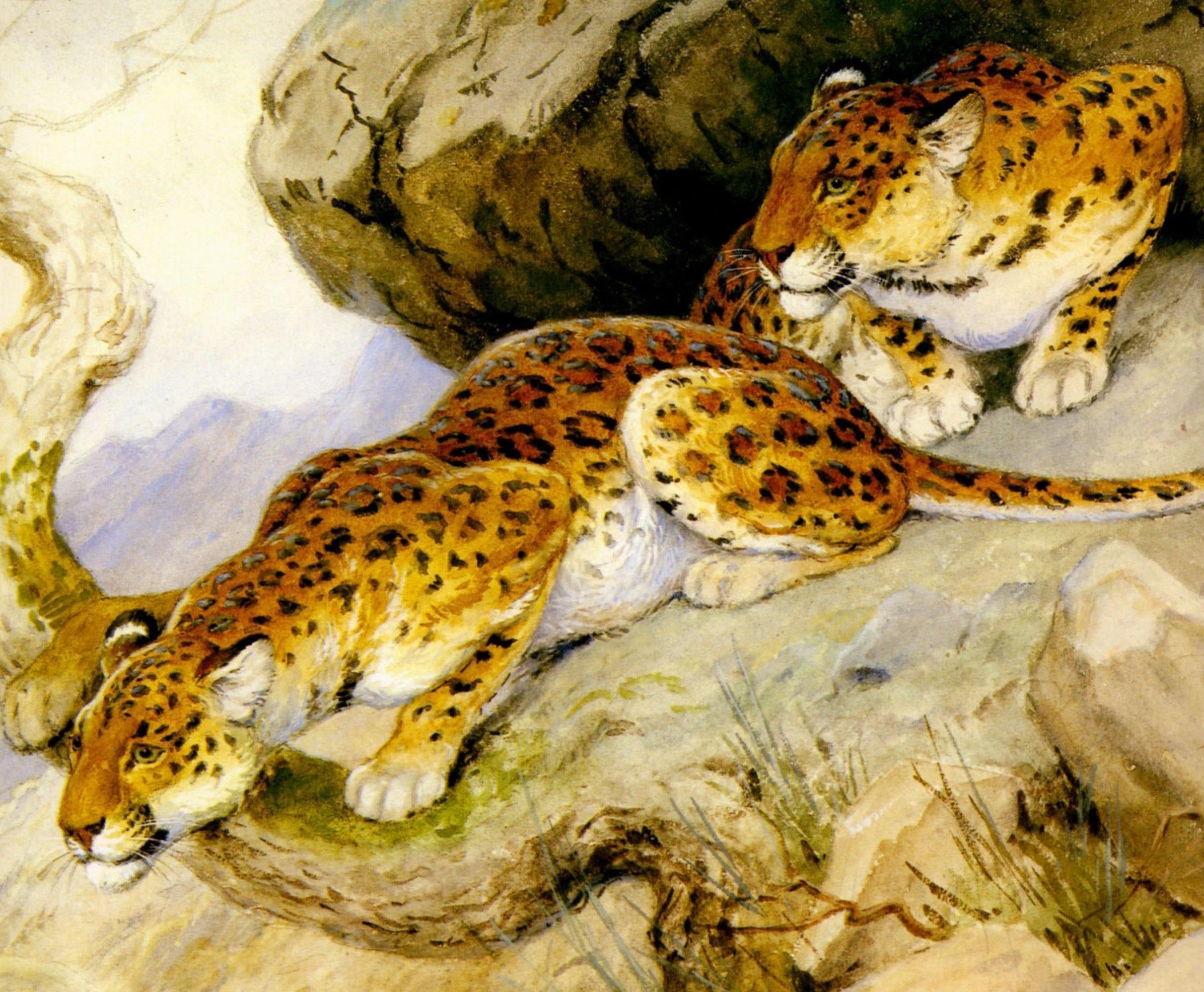Two Jaguars Resting on Rocks Painting HD Wallpaper