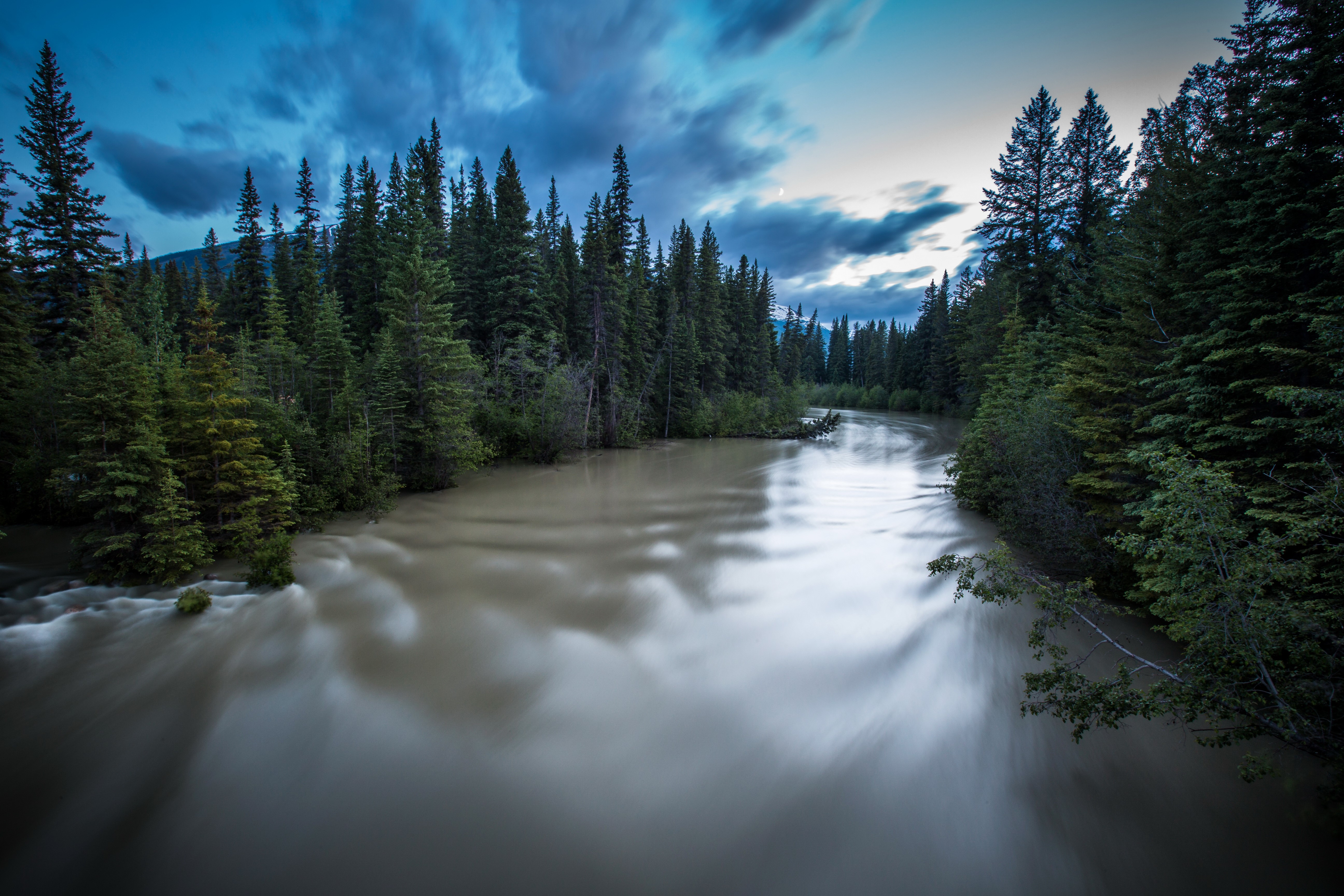River flowing through a forest in Jasper National Park, Canada HD Wallpaper