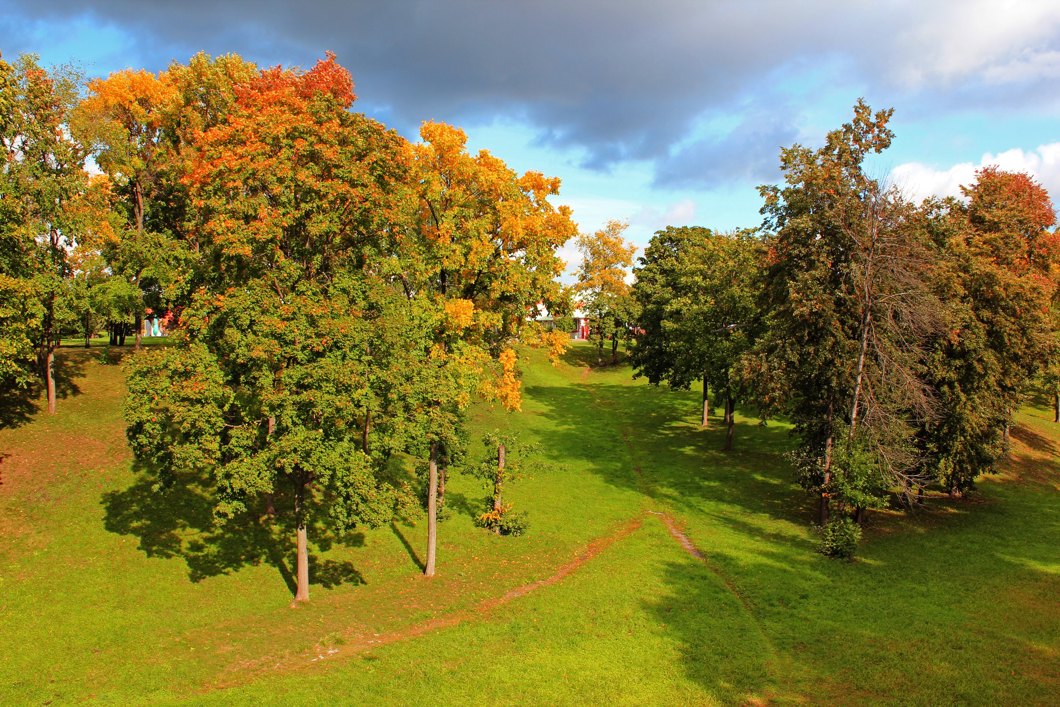 Autumn park with colorful trees and green grass HD Wallpaper