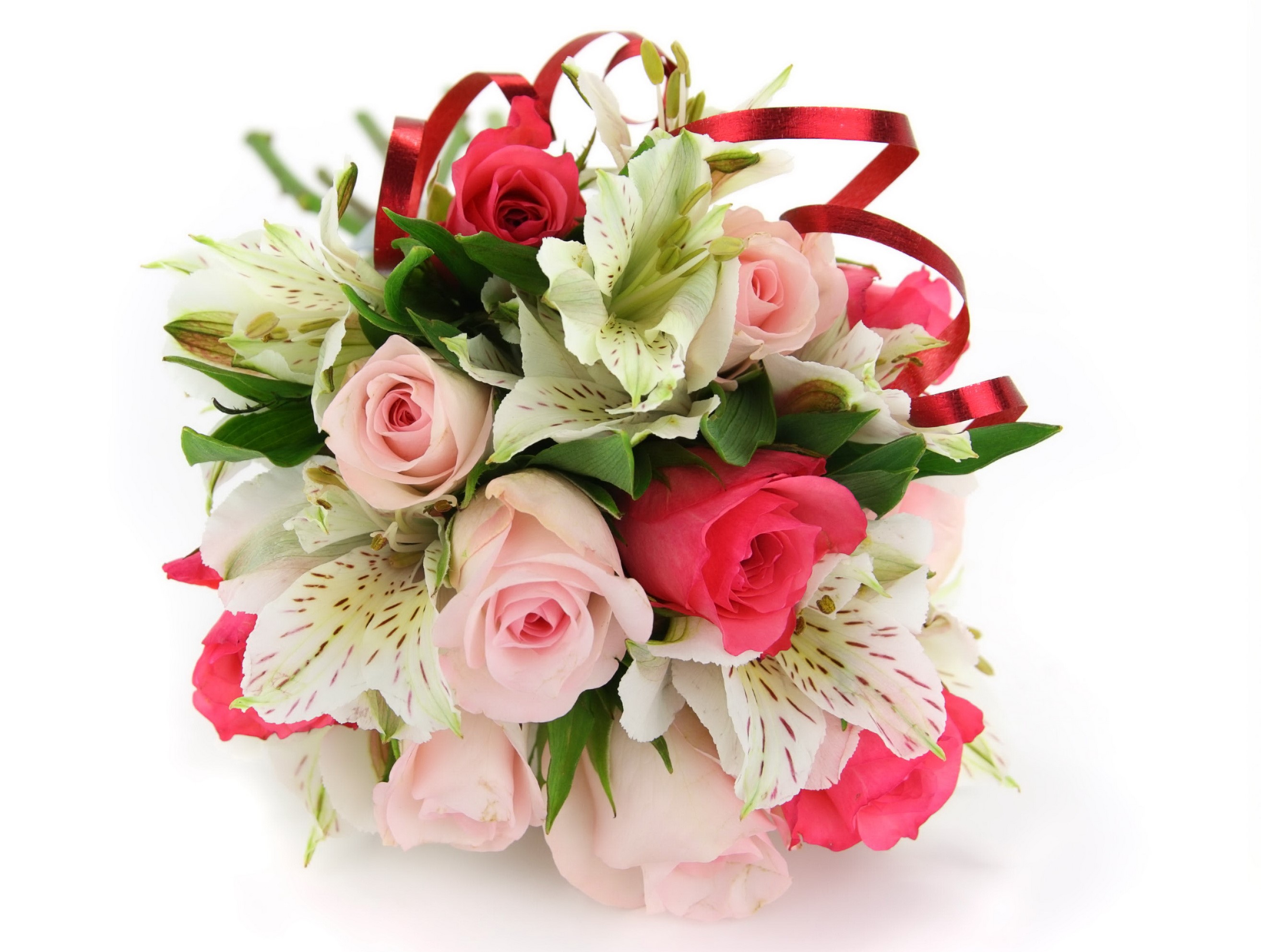Bouquet of pink and red roses with white alstroemeria and red ribbon HD Wallpaper