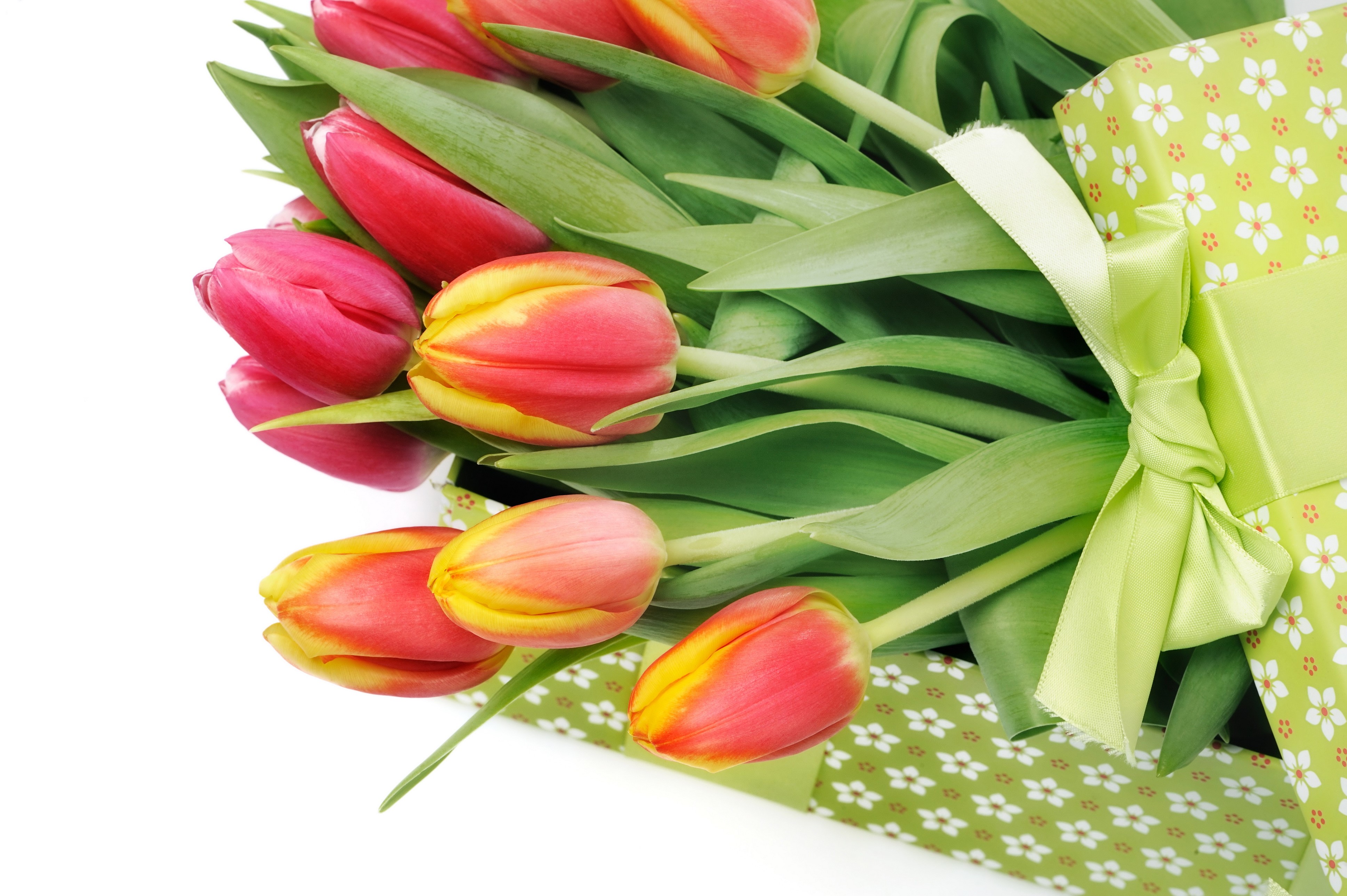 Tulips in a gift box with ribbon HD Wallpaper