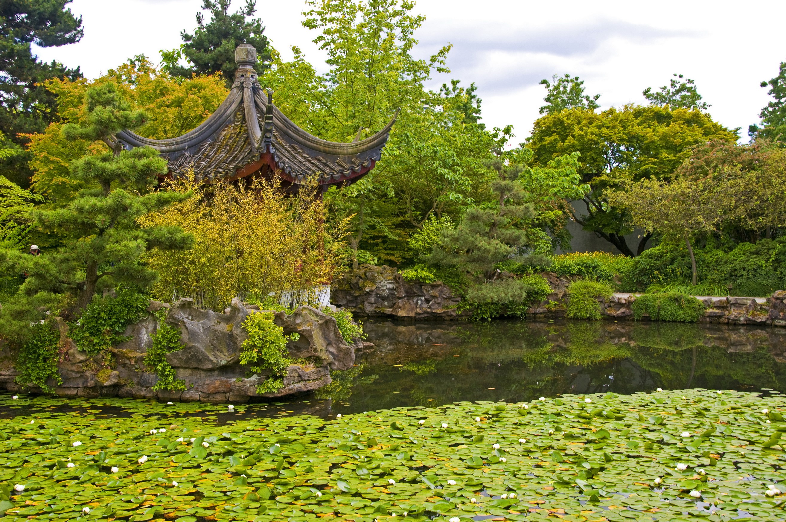 Dr. Sun Yat-Sen Classical Chinese Garden in Vancouver HD Wallpaper