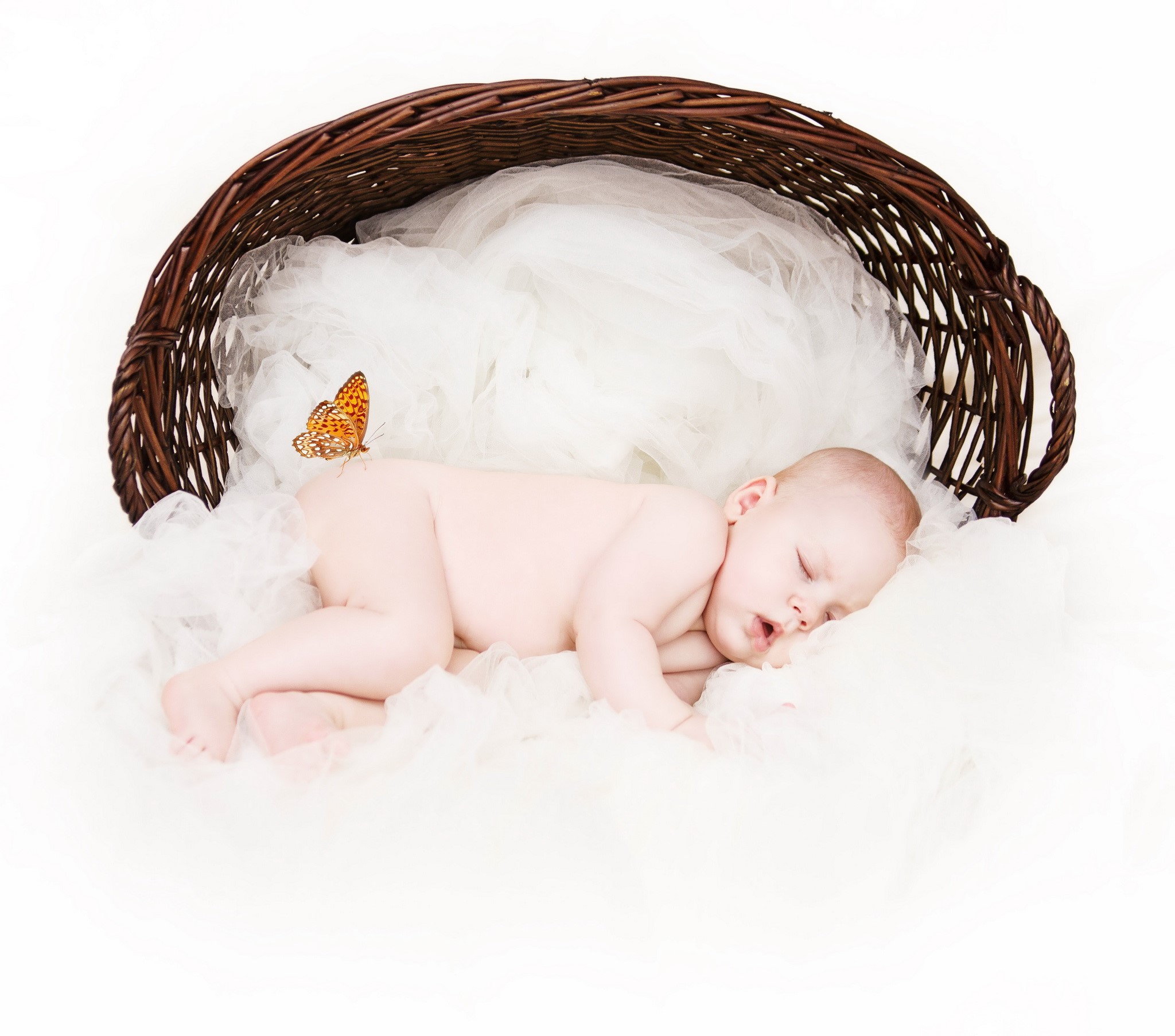 Newborn baby sleeping in a wicker basket with a butterfly HD Wallpaper