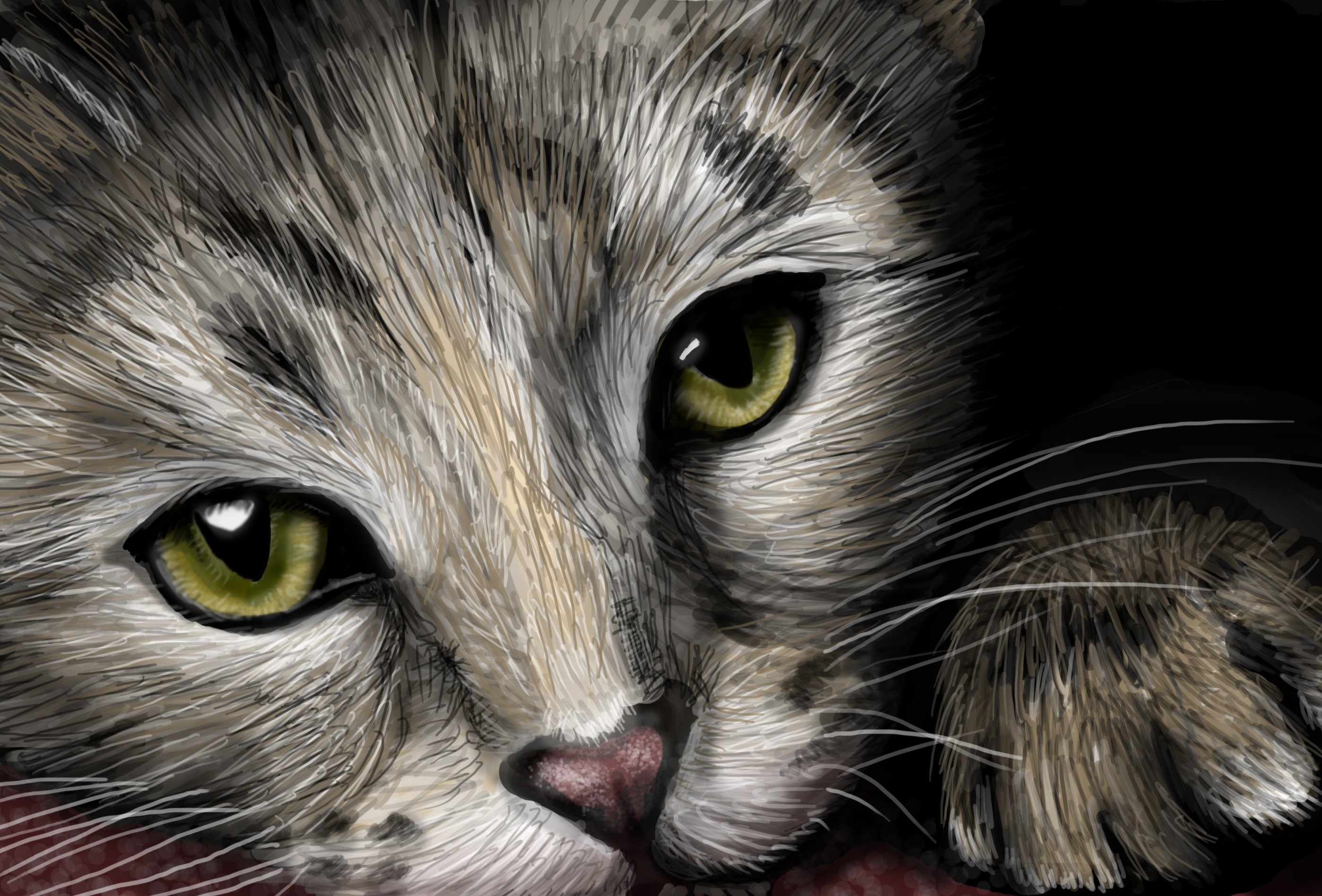 Cats Painting Art Eyes Glance Whiskers Nose HD Wallpaper Rare