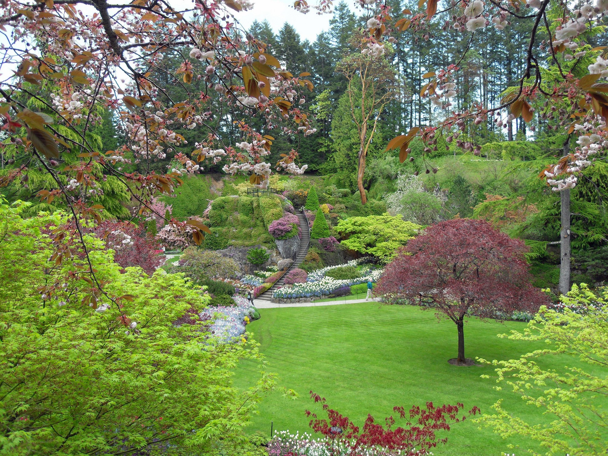 Butchart Gardens Victoria Canada Spring Bloom HD Wallpaper