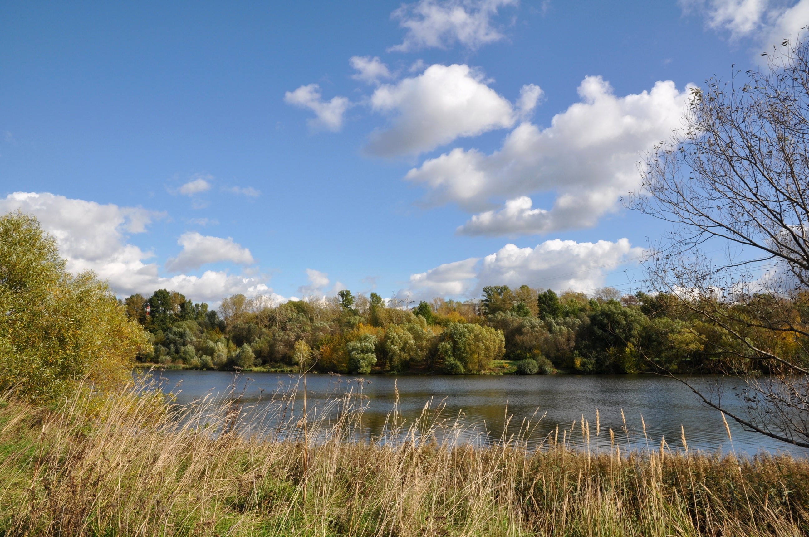 River and trees under a cloudy sky HD Wallpaper