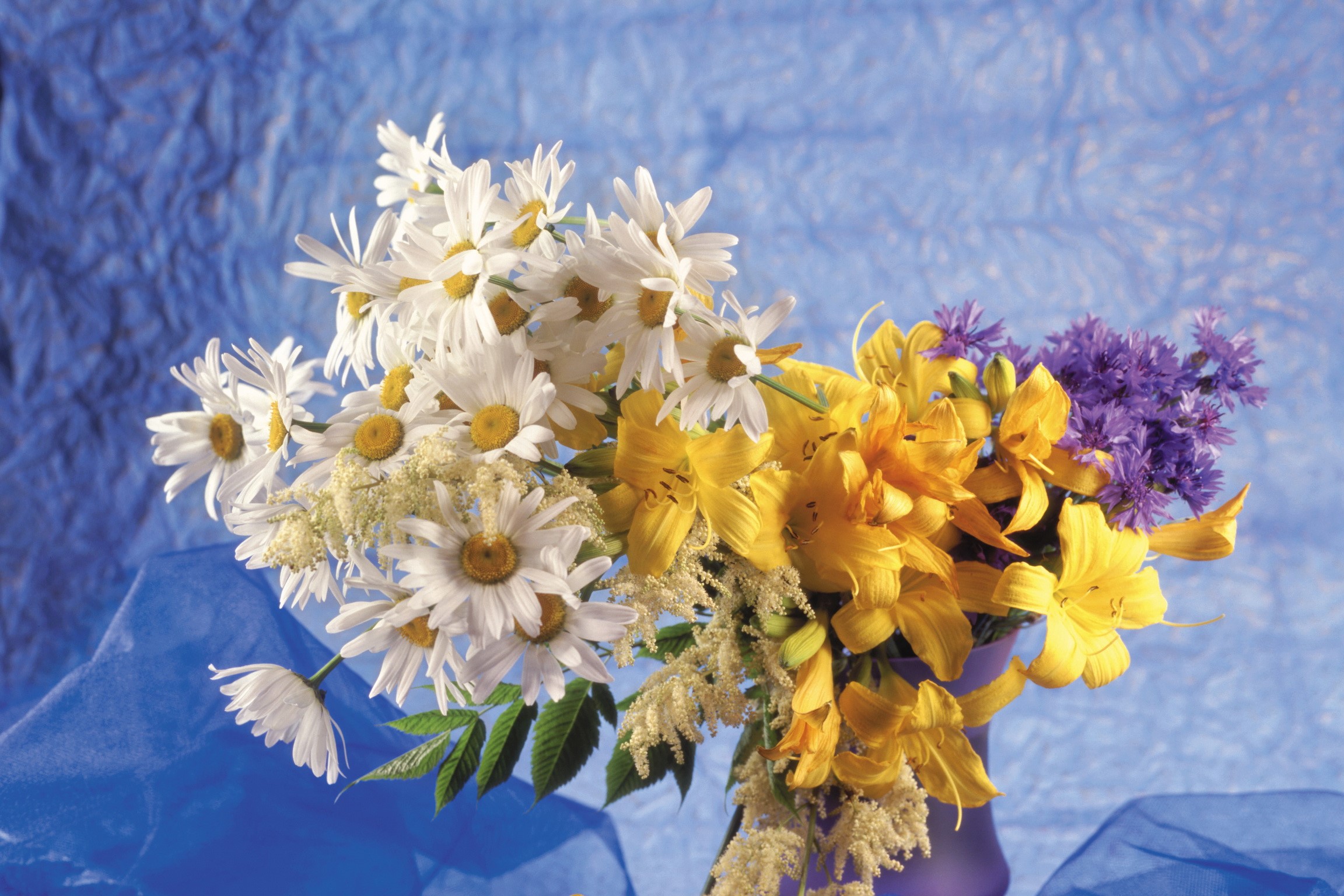 Bouquet of Daisies, Lilies, and Purple Flowers HD Wallpaper