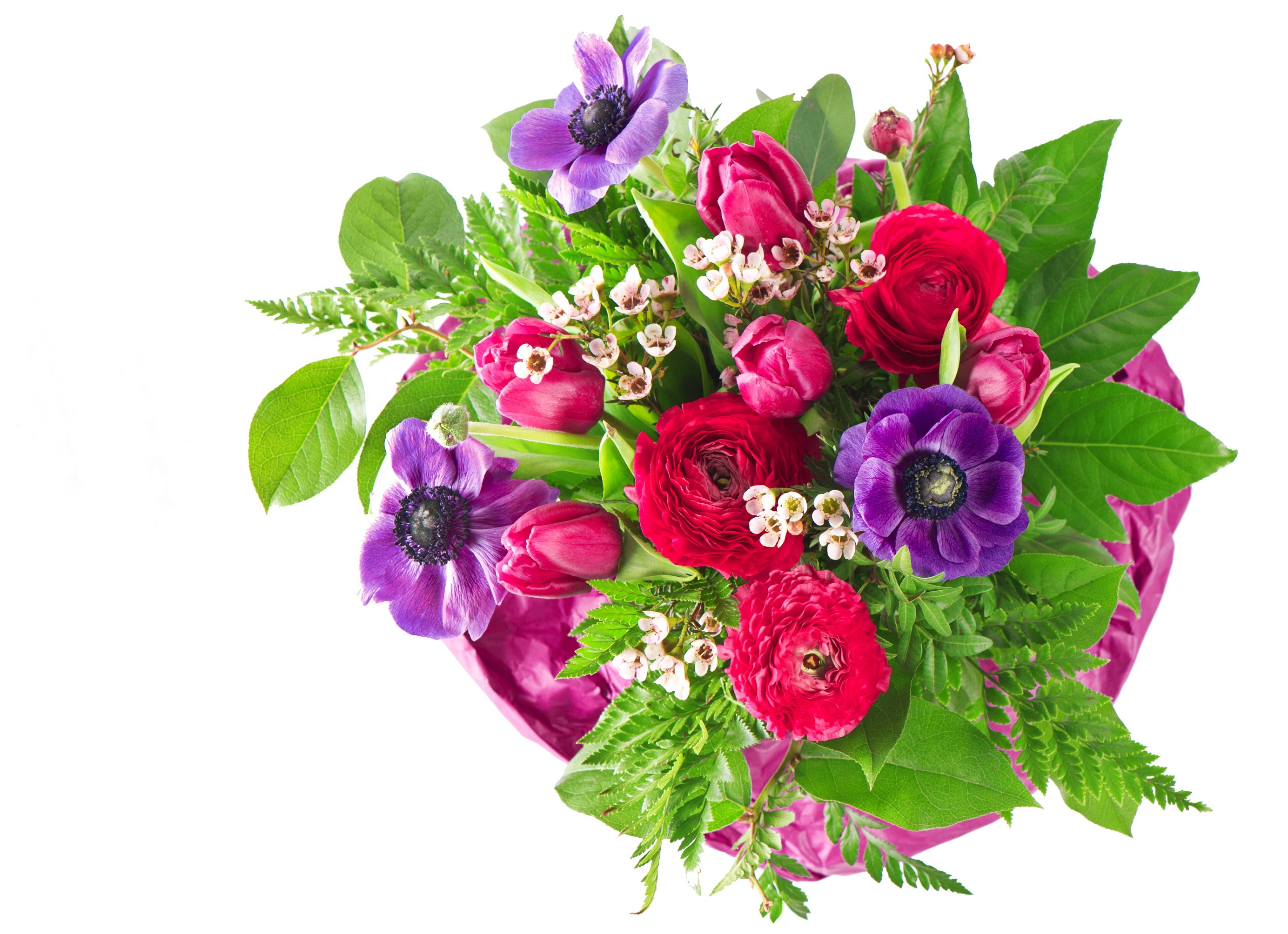 Bouquet of Anemones, Tulips, and Ranunculus HD Wallpaper