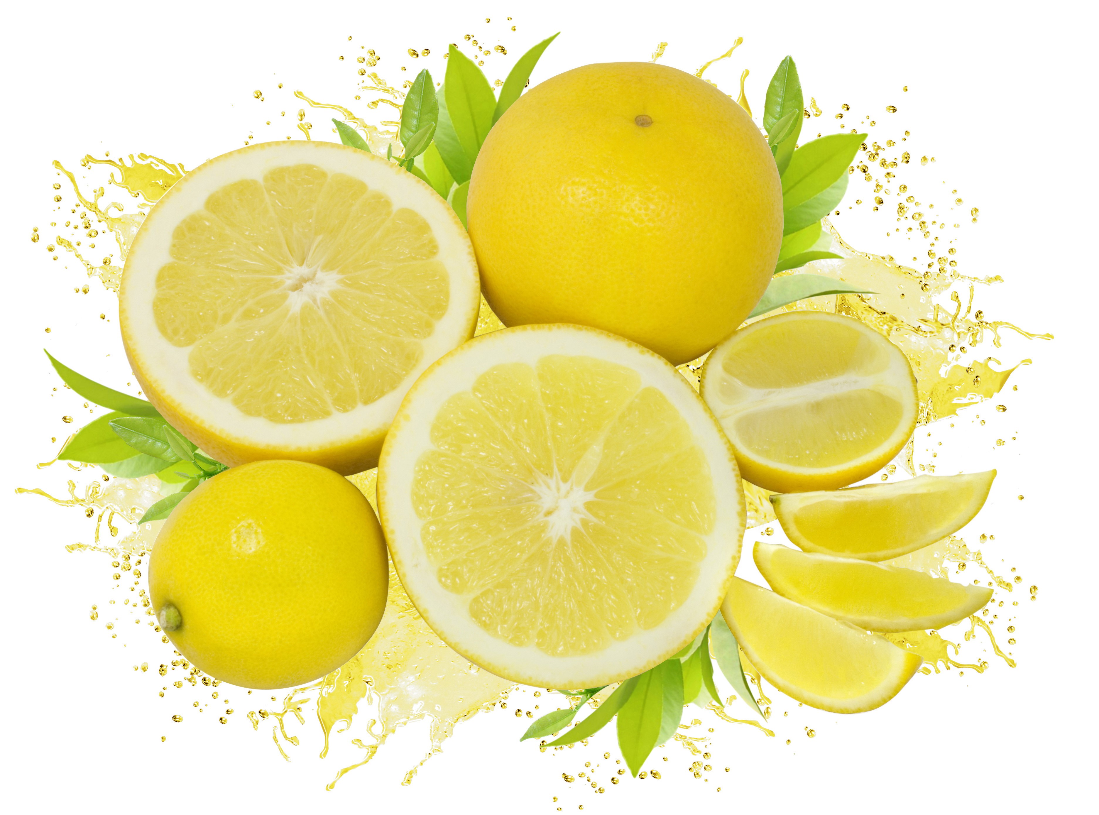 Grapefruit and lemon slices with juice splash HD Wallpaper