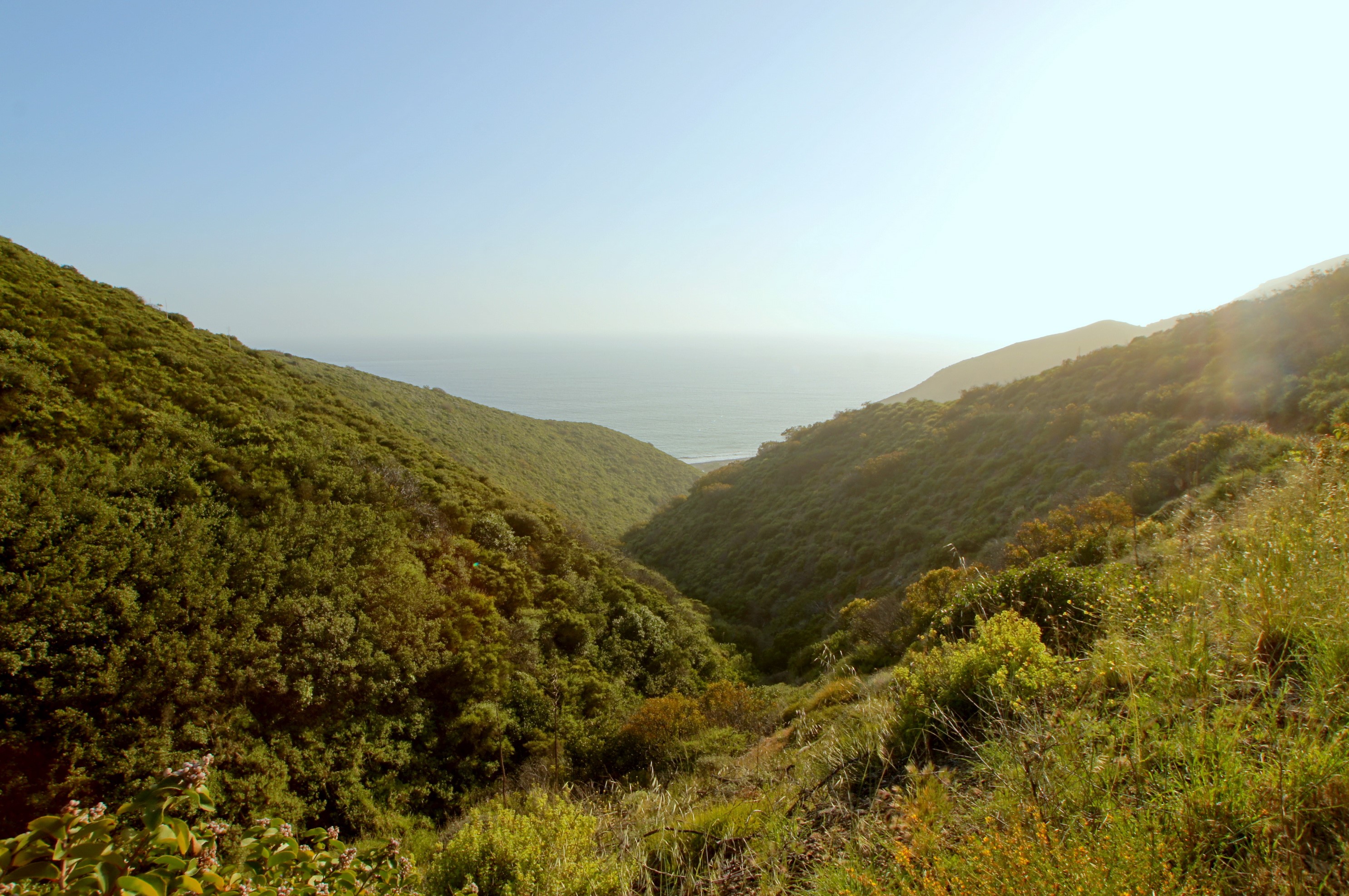Valley leading to the ocean in Malibu, California HD Wallpaper