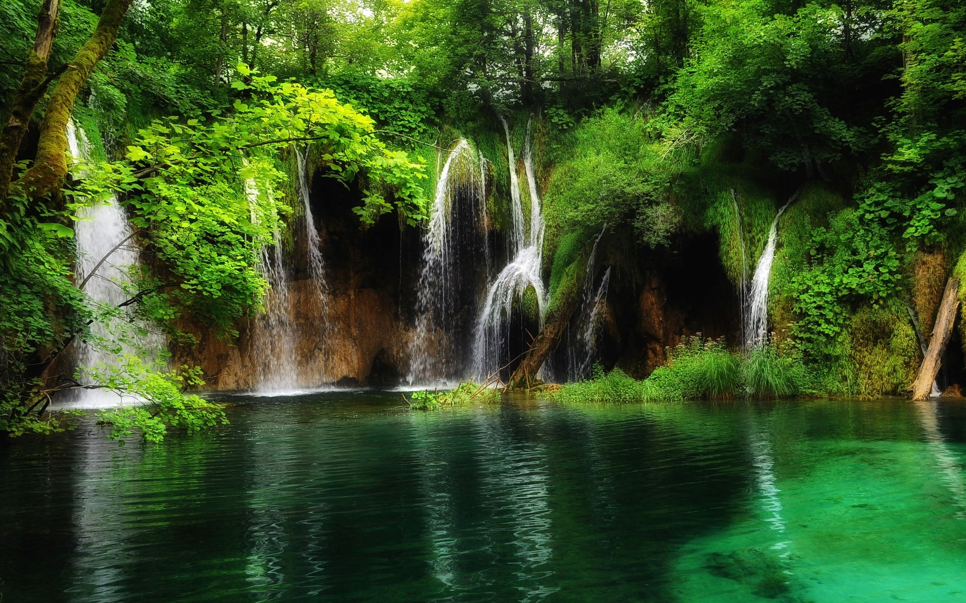 Waterfalls cascading into a clear green lake in a forest HD Wallpaper
