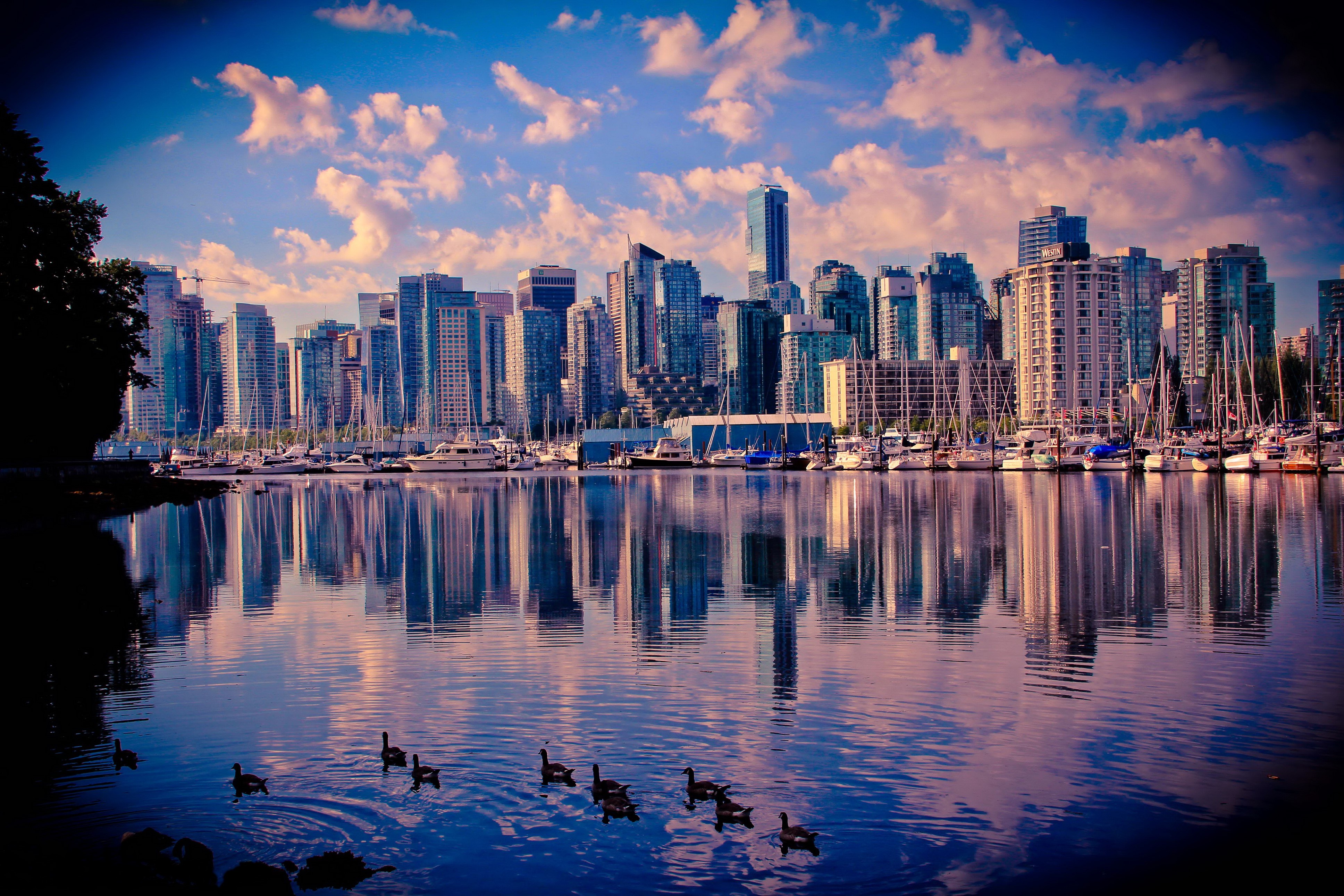 Vancouver Skyline and Harbor with Geese HD Wallpaper